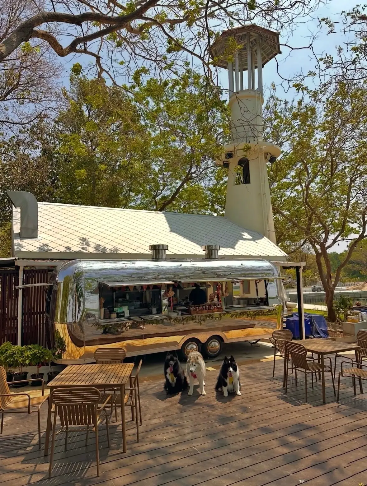 Sunset Bay Thachalabe pets image 3