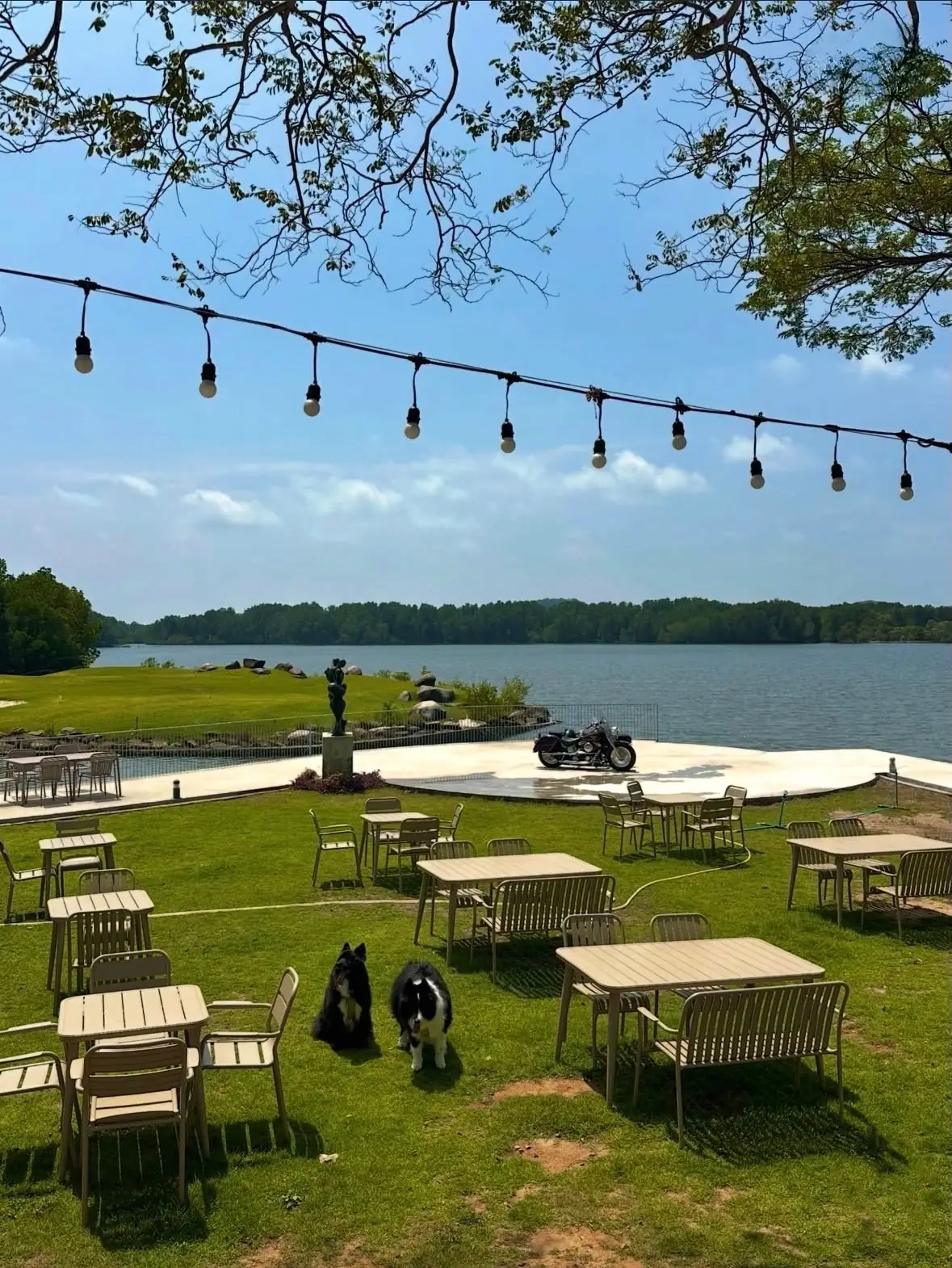 Sunset Bay Thachalabe pets image 5