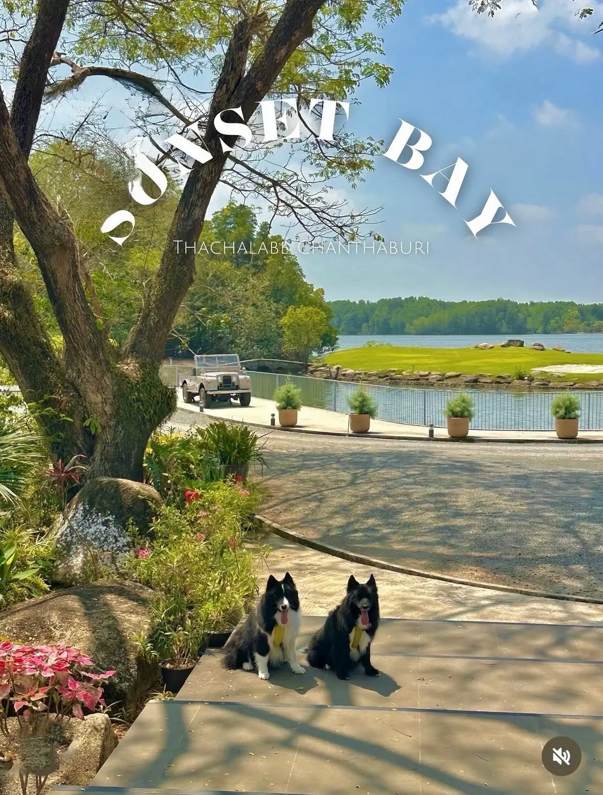 Sunset Bay Thachalabe pets image 1