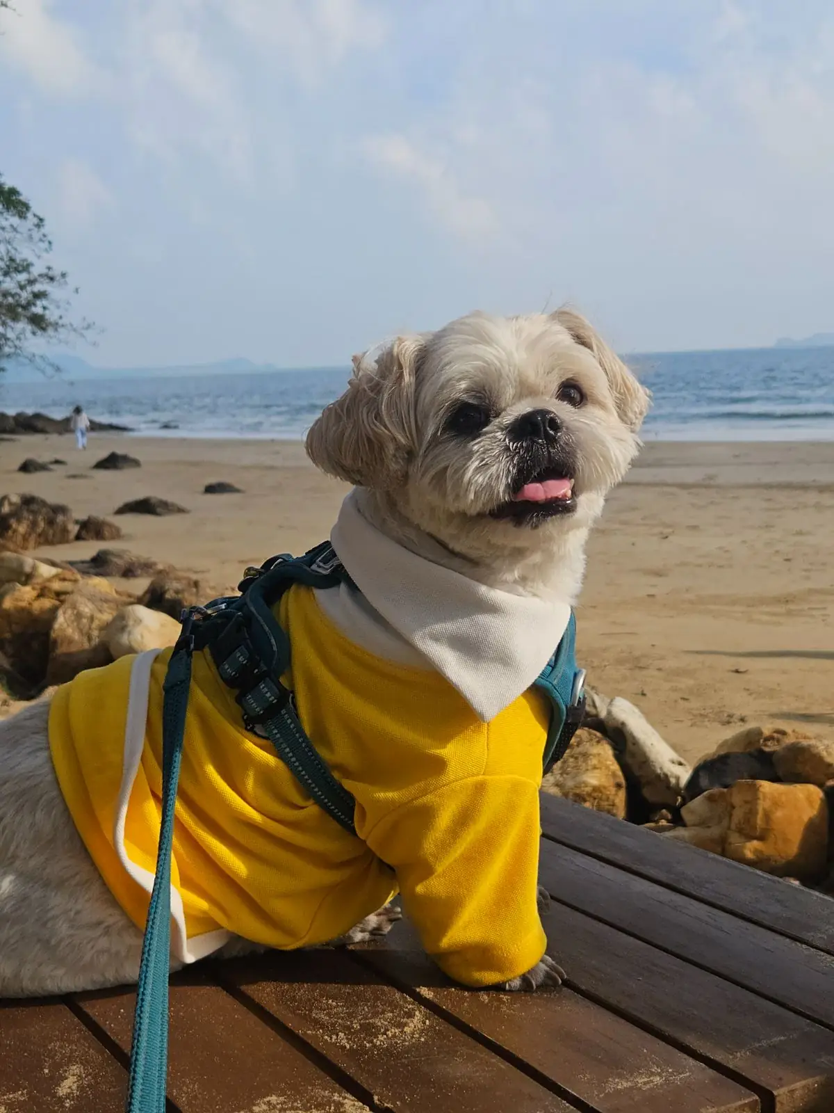 The Nest Private Beach Resort - Chumphon pets image 2
