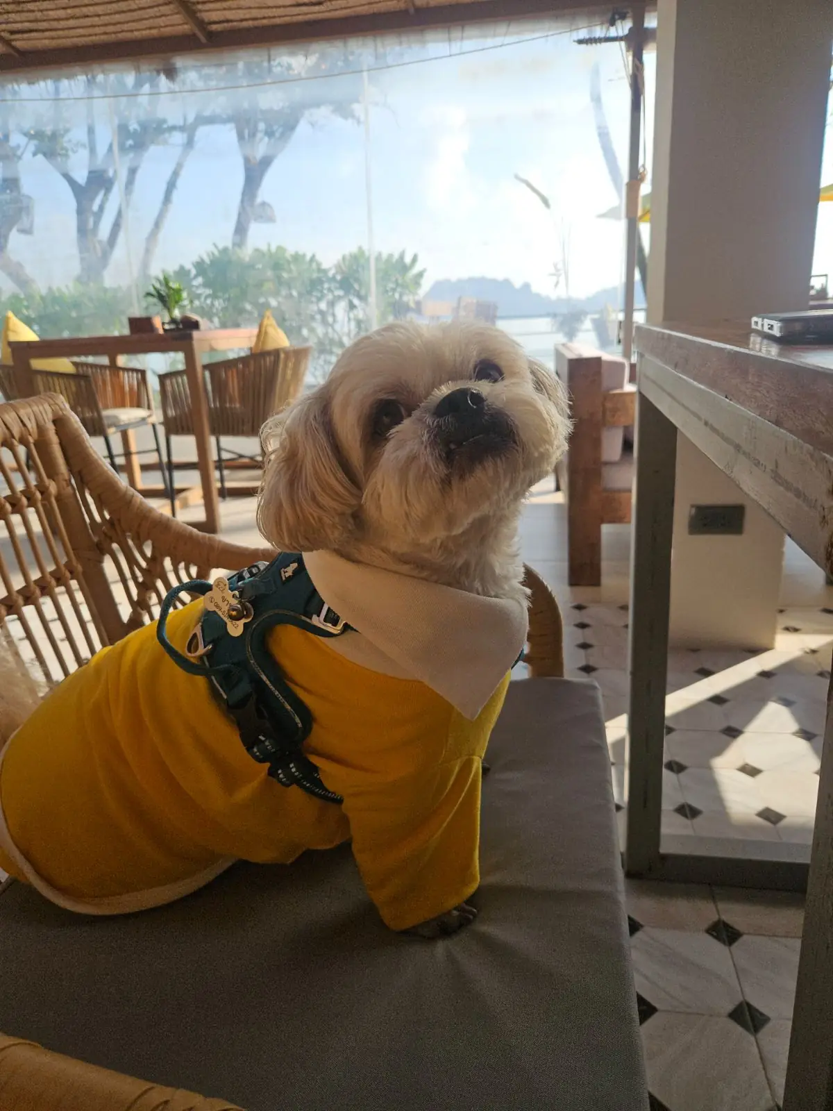 The Nest Private Beach Resort - Chumphon pets image 1