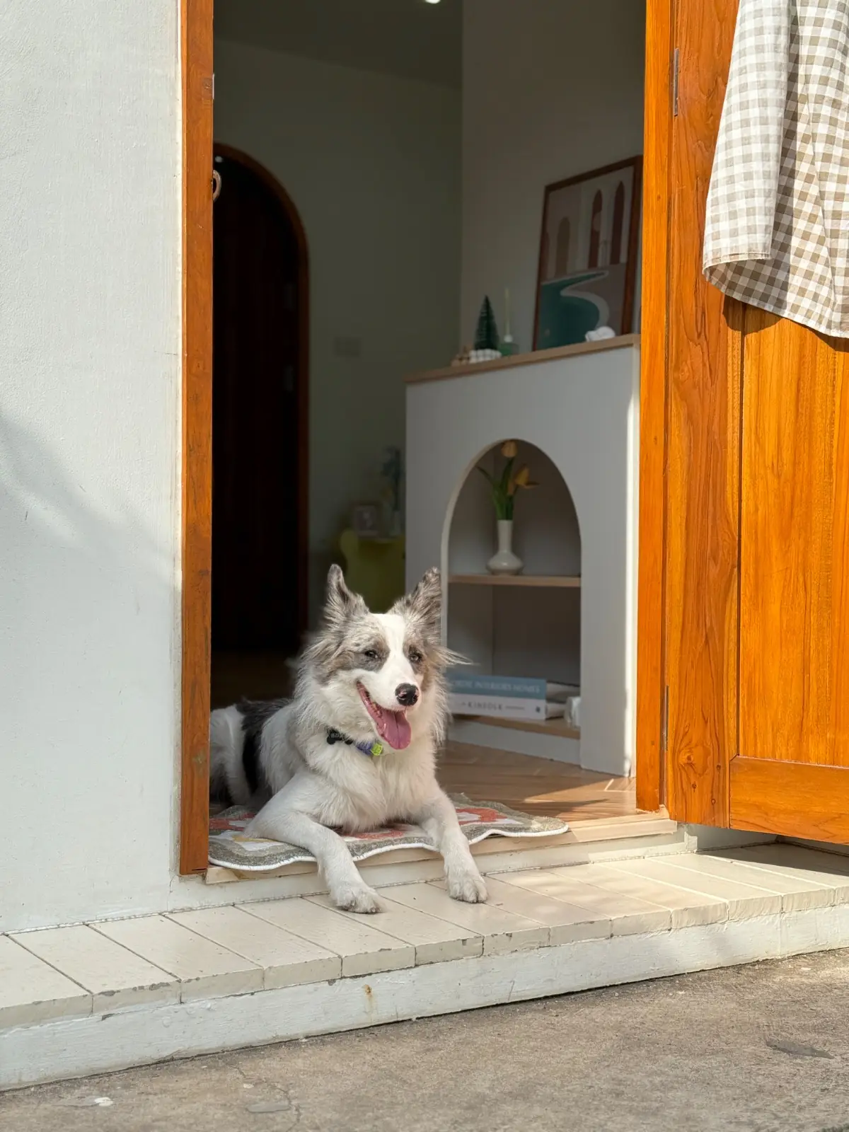 Deejai home pets image 1