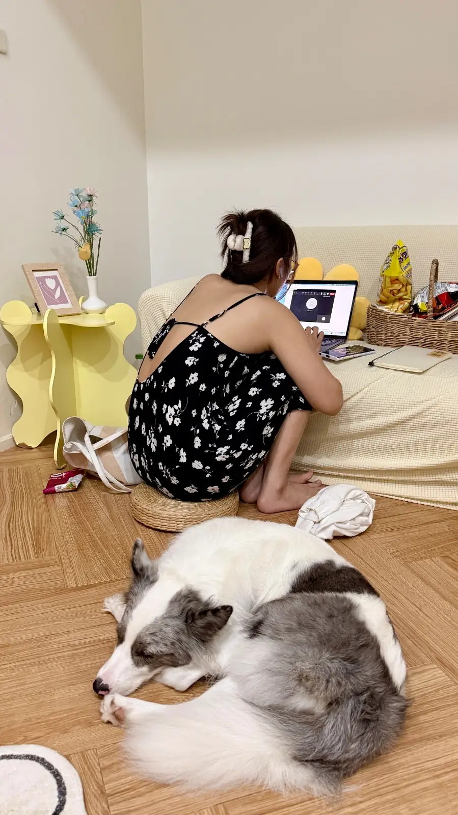 Deejai home pets image 5