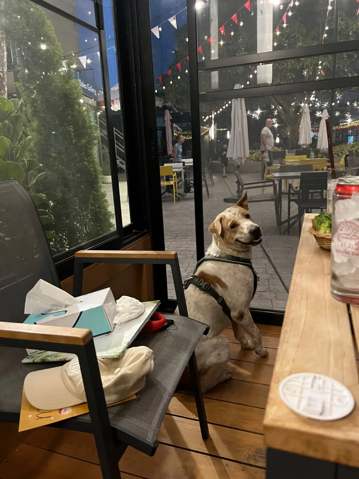 บุญปาก อิหลี pets image 2