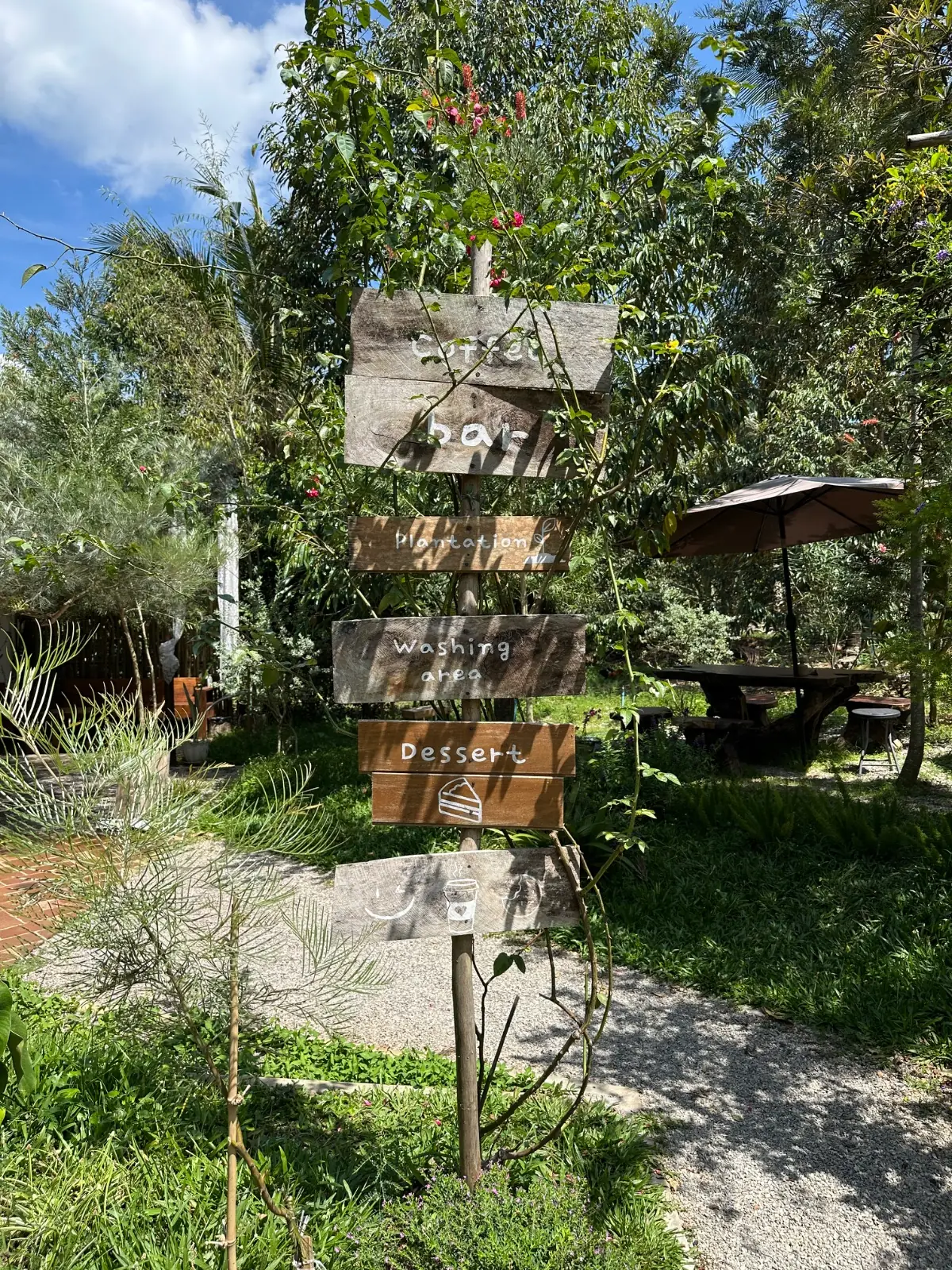 Fly Robusta other image 1