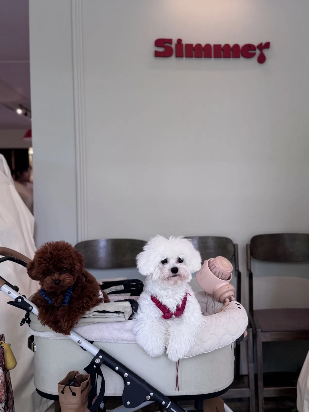 Simmer pets image 10