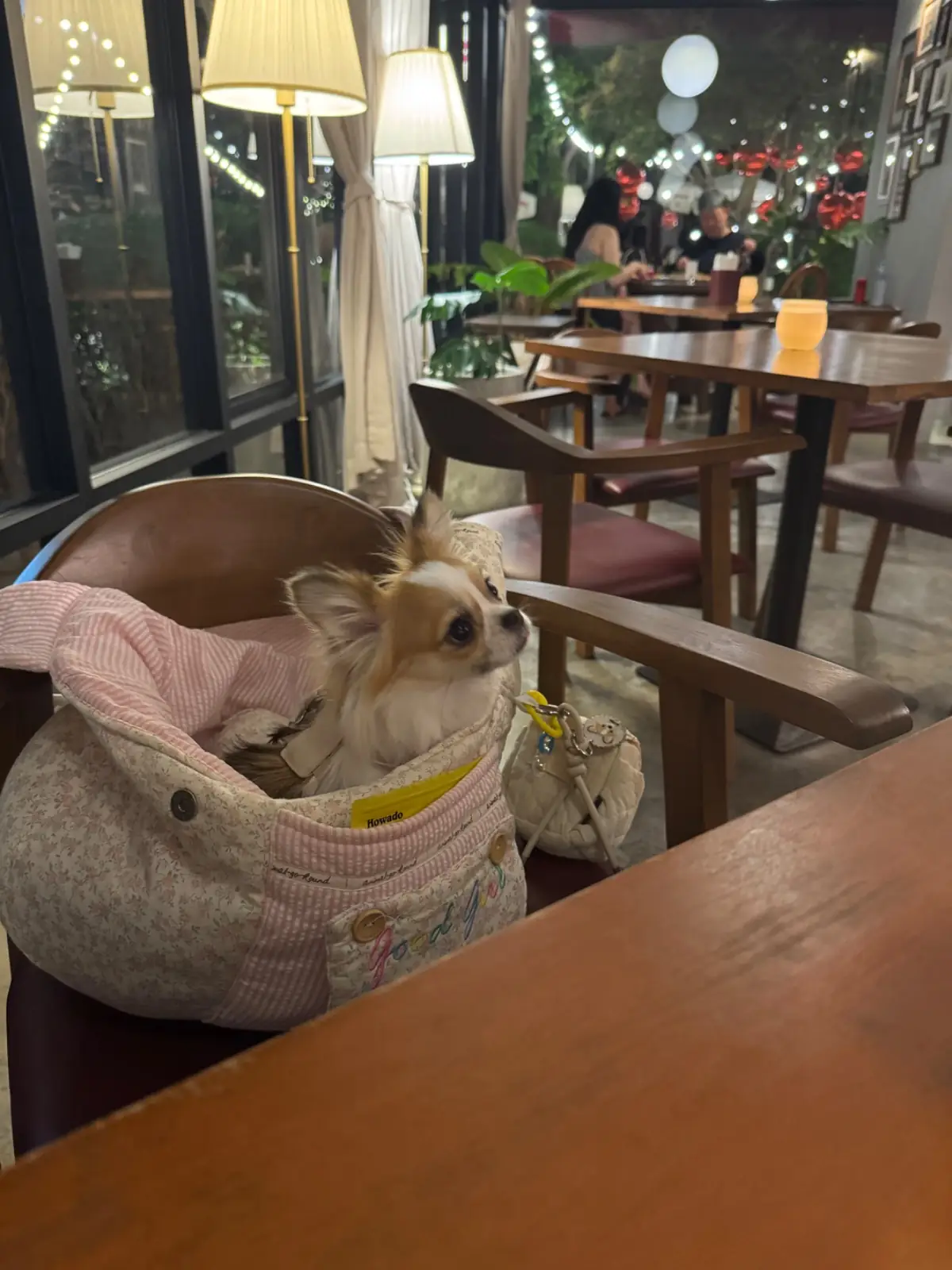 SIMMER.BKK pets image 8