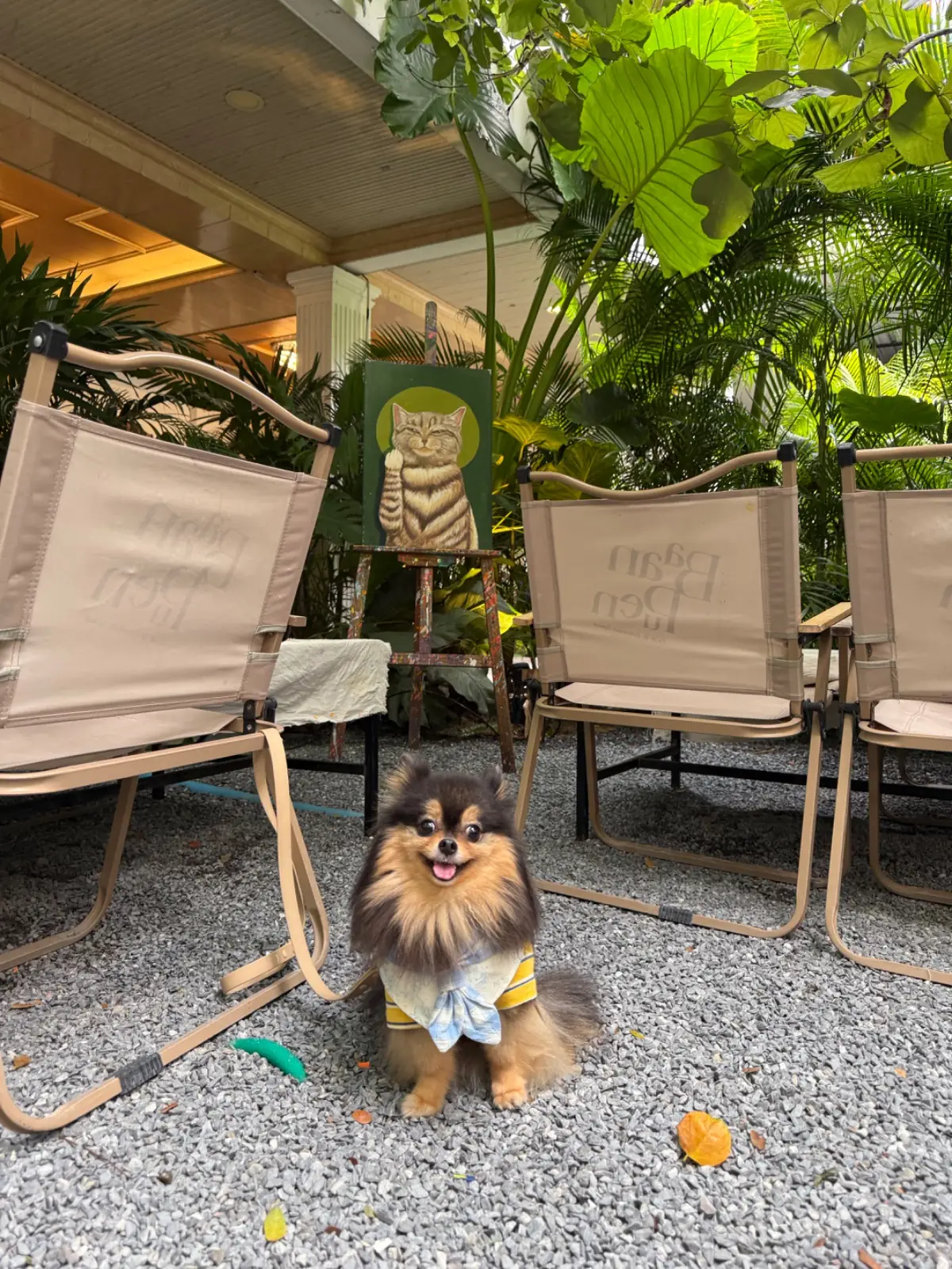 บ้านเพื่อน BaanPuen Cafe other image 3