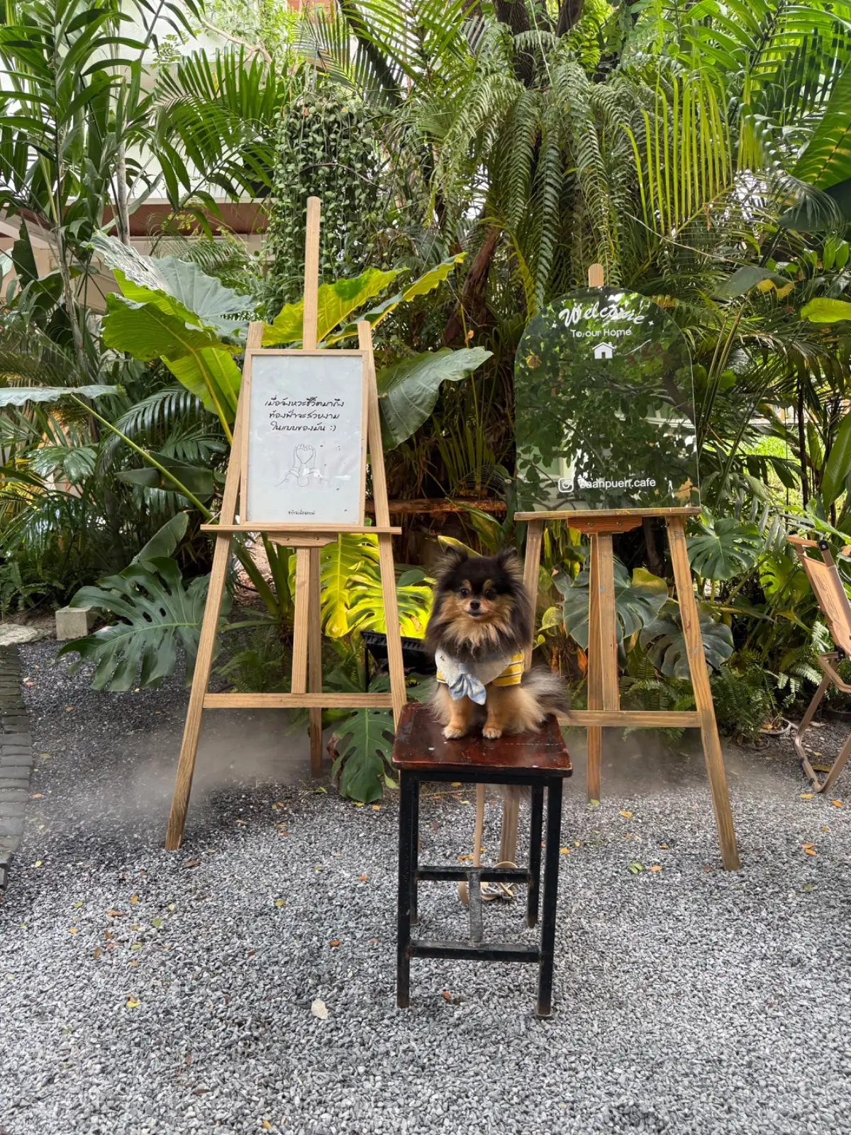 บ้านเพื่อน BaanPuen Cafe other image 5