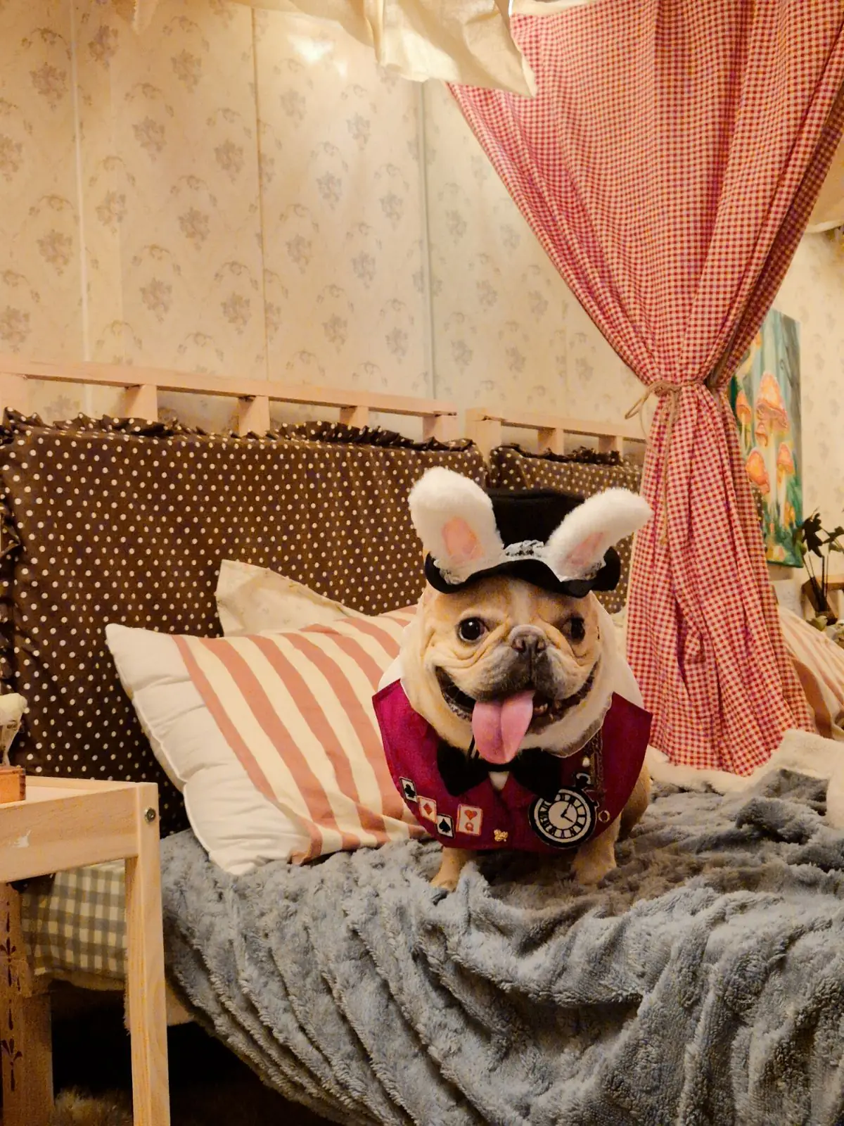 บ้านเพื่อน BaanPuen Cafe pets image 9