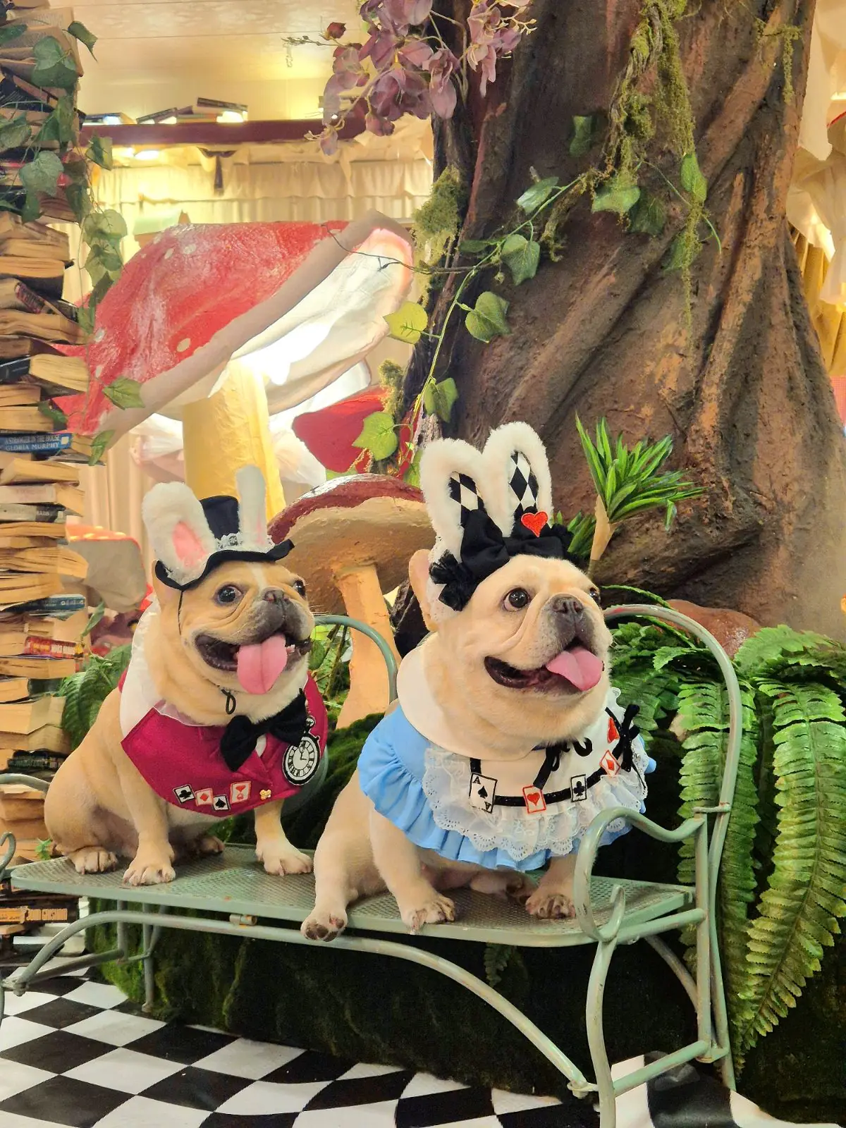 บ้านเพื่อน BaanPuen Cafe pets image 5