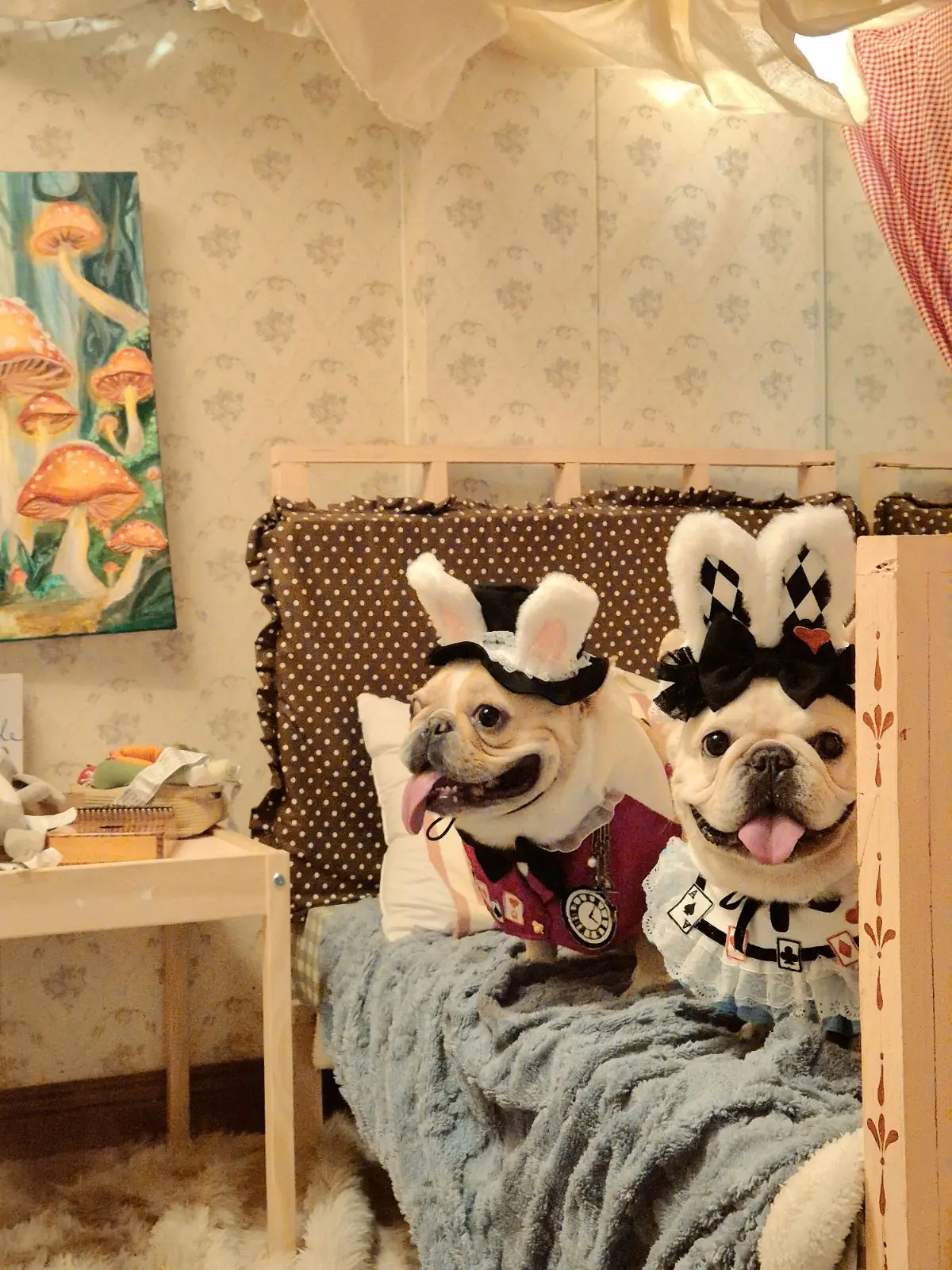 บ้านเพื่อน BaanPuen Cafe pets image 8