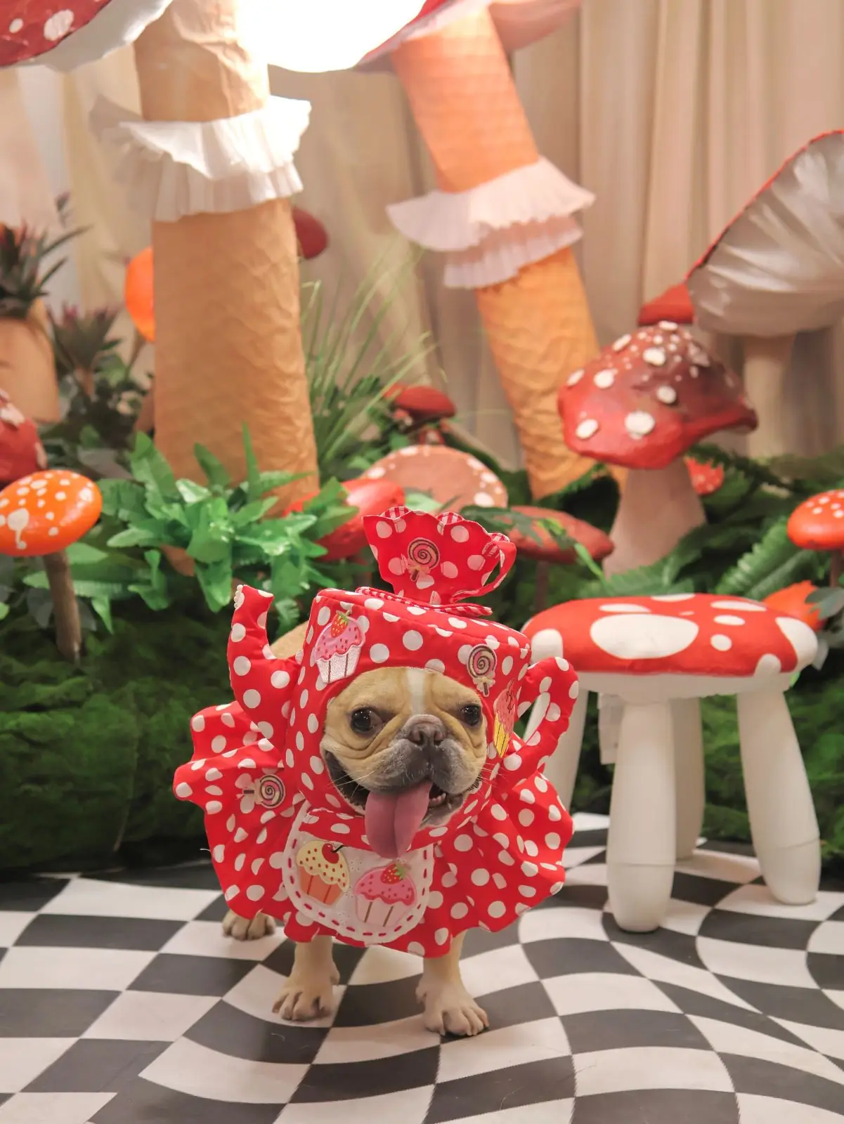 บ้านเพื่อน BaanPuen Cafe pets image 10