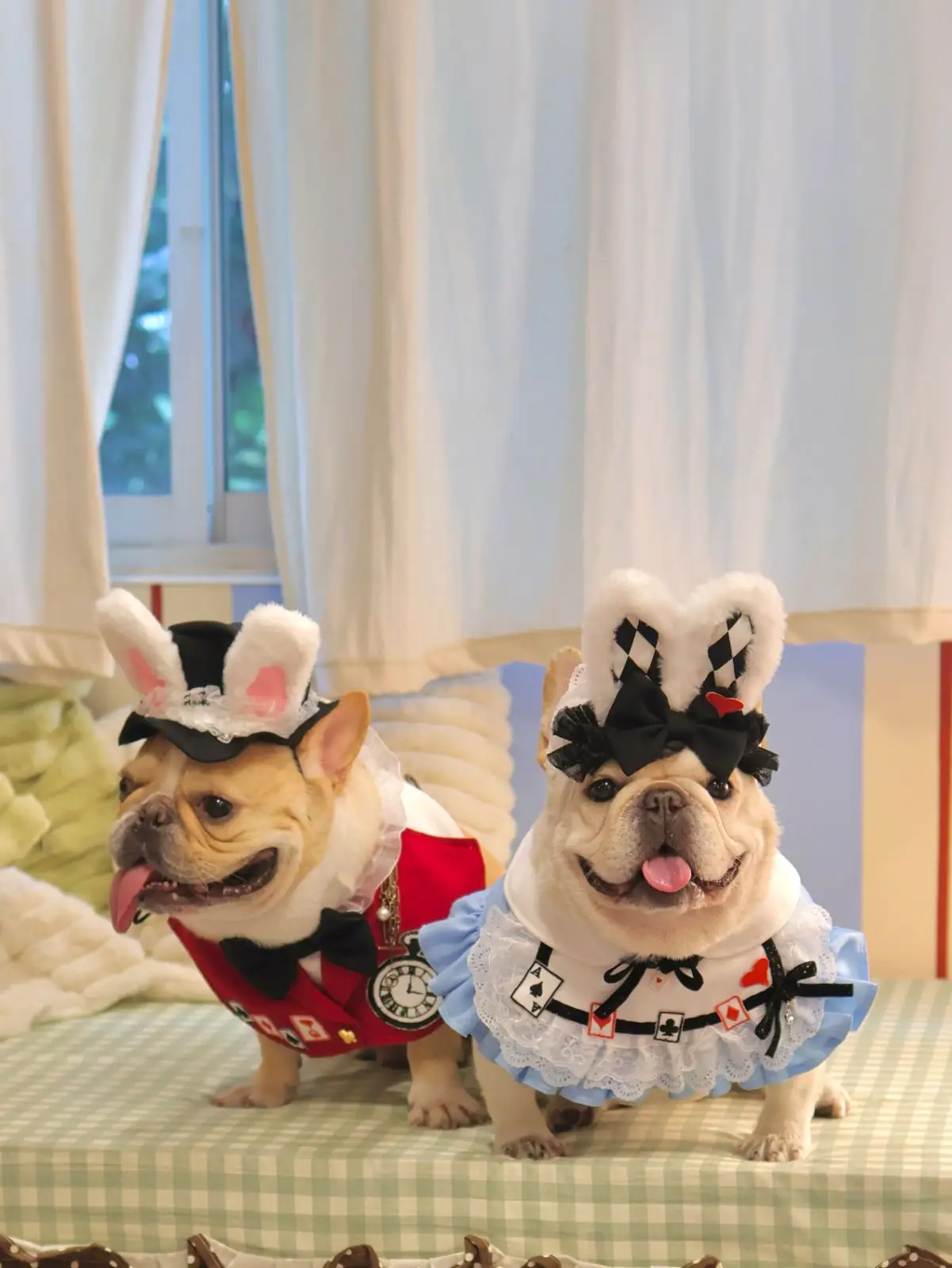 บ้านเพื่อน BaanPuen Cafe pets image 4