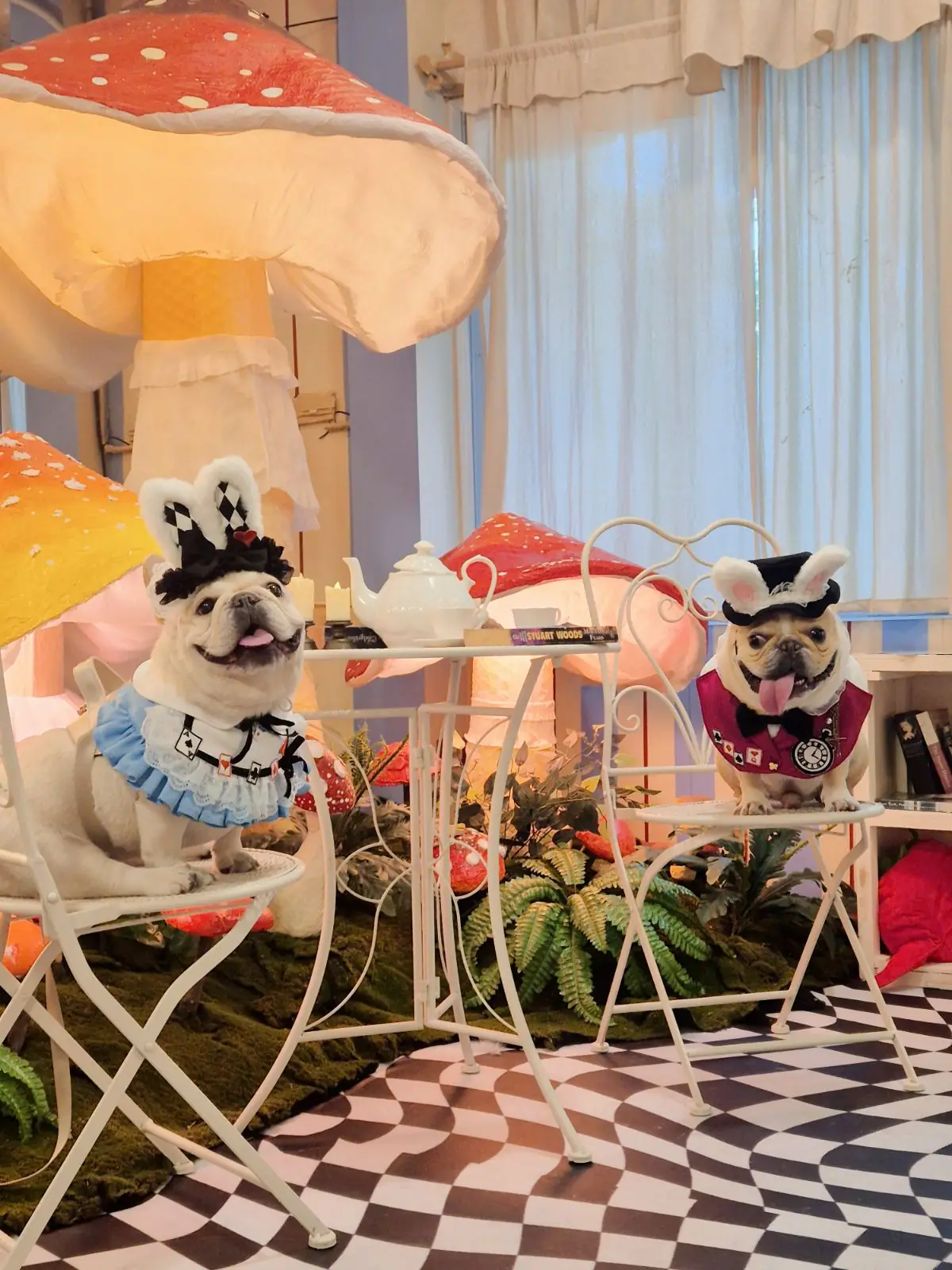 บ้านเพื่อน BaanPuen Cafe pets image 7