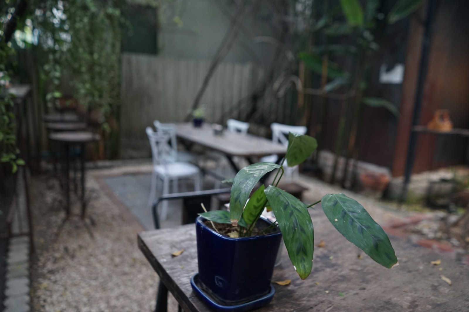 Landhaus Bakery ambiance image 4