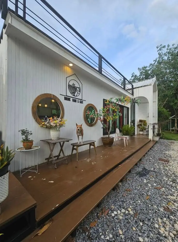 Nordic Farm & Cafe ambiance image 1