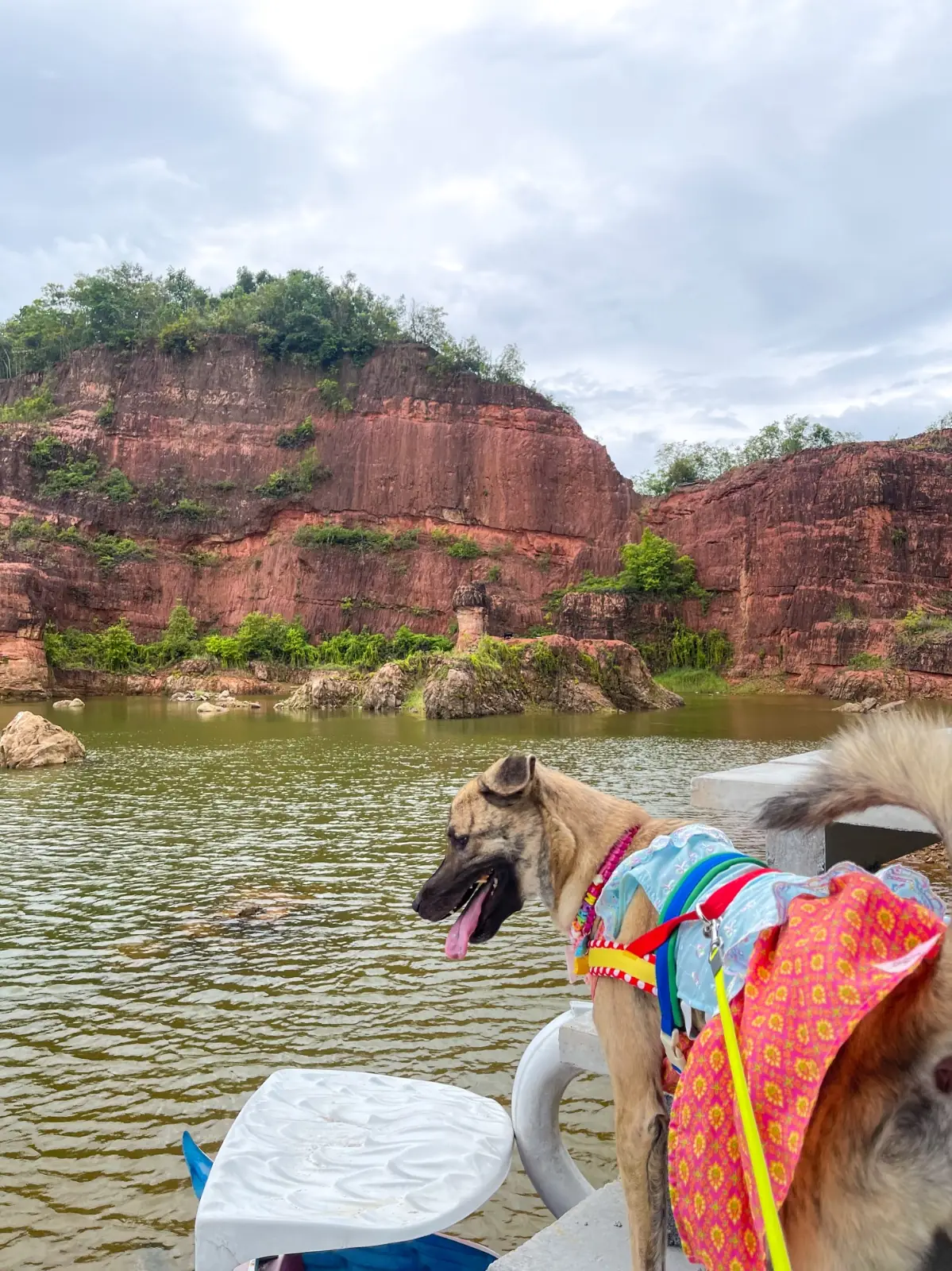 Koh Yai Grand Canyon pets image 1