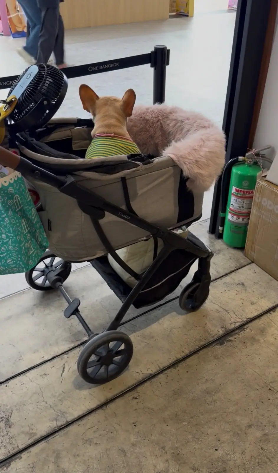 Tempura Yamaya - One Bangkok pets image 1