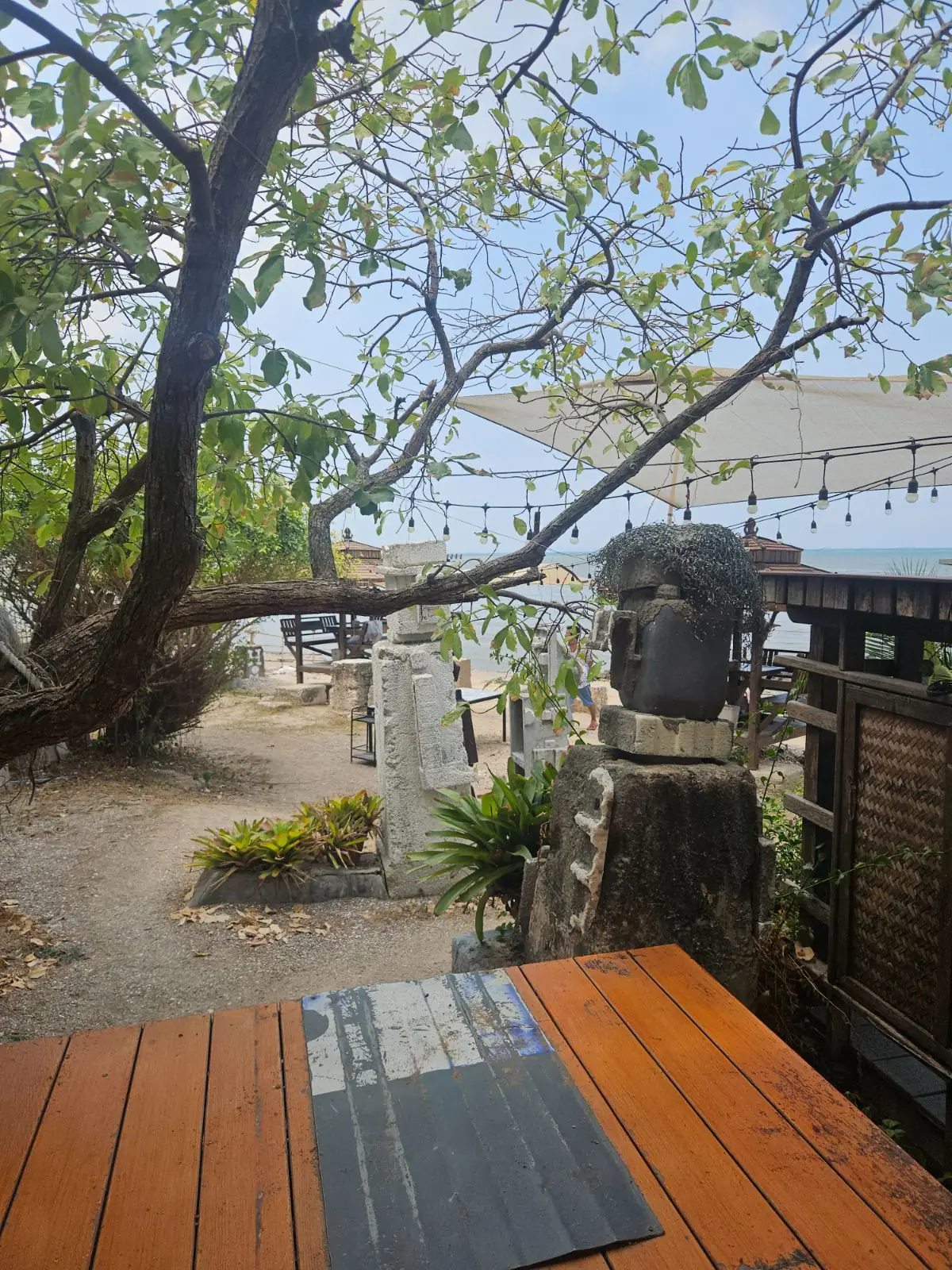 Tree Dee Art Café and Bar ambiance image 4