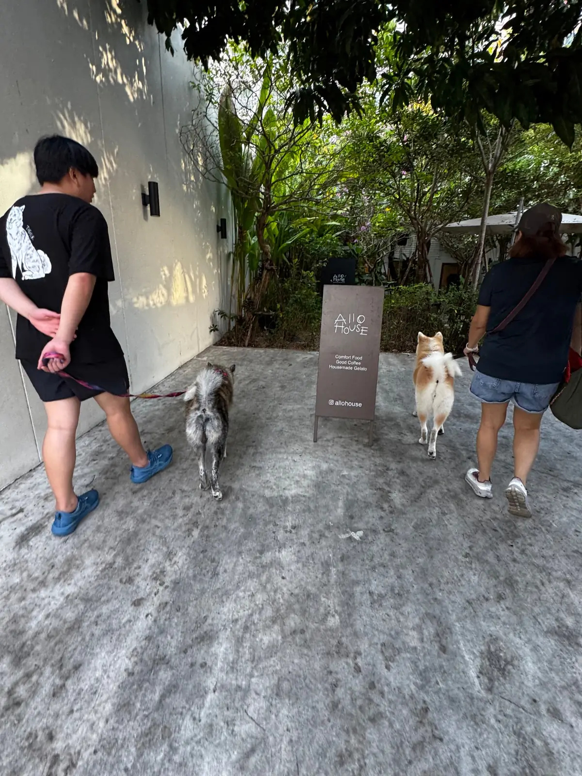 Allo House other image 1