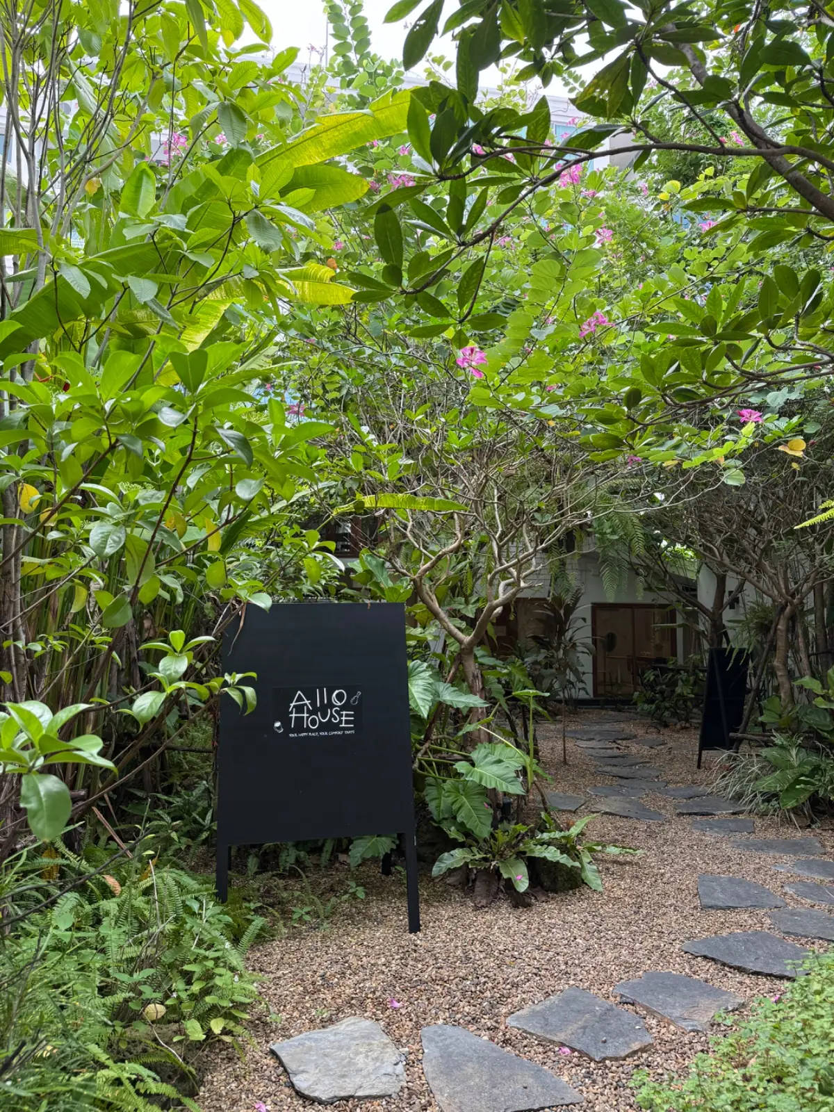 ALLO HOUSE overall image 3