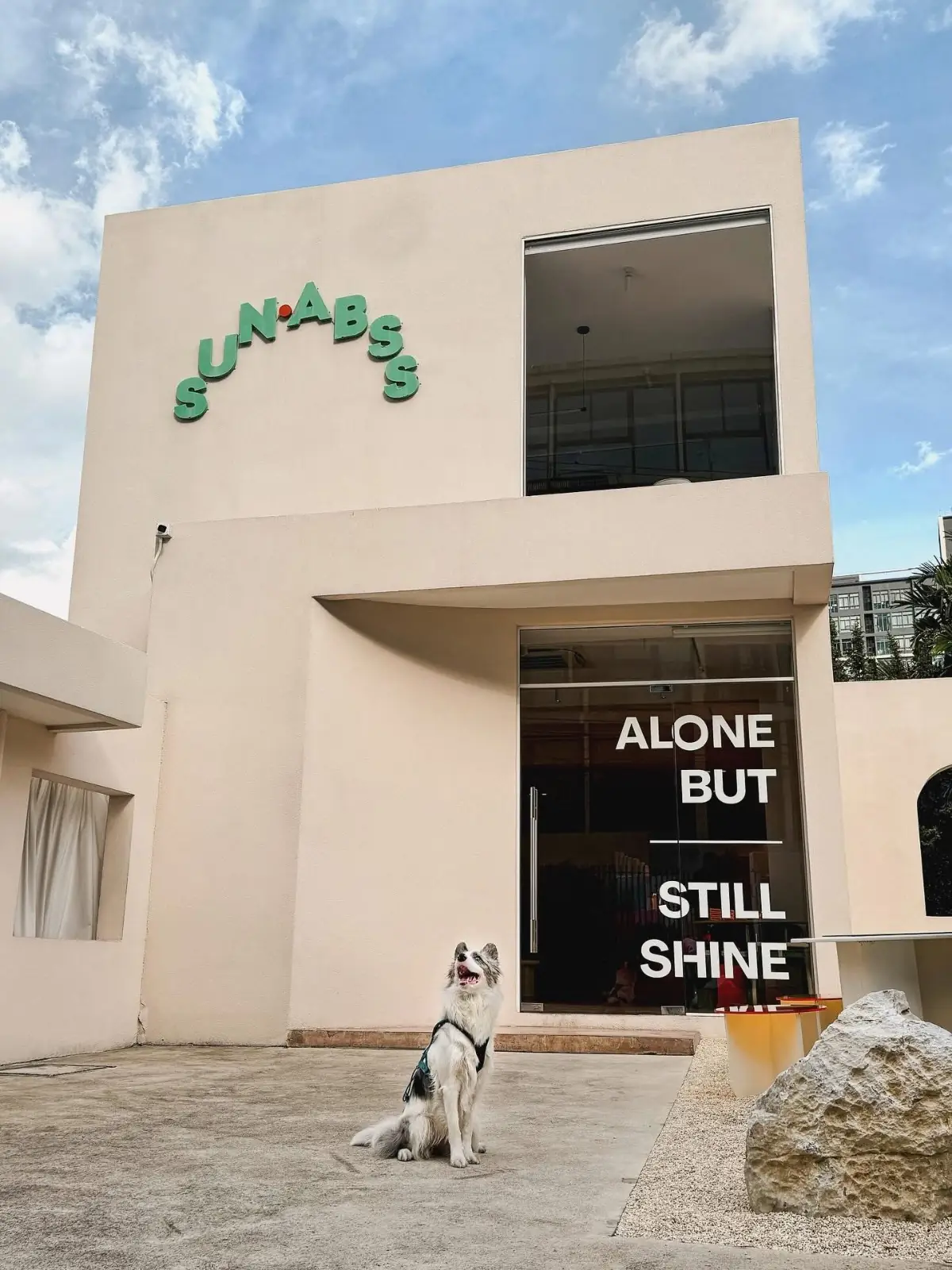 SUN.ABSS ambiance image 1