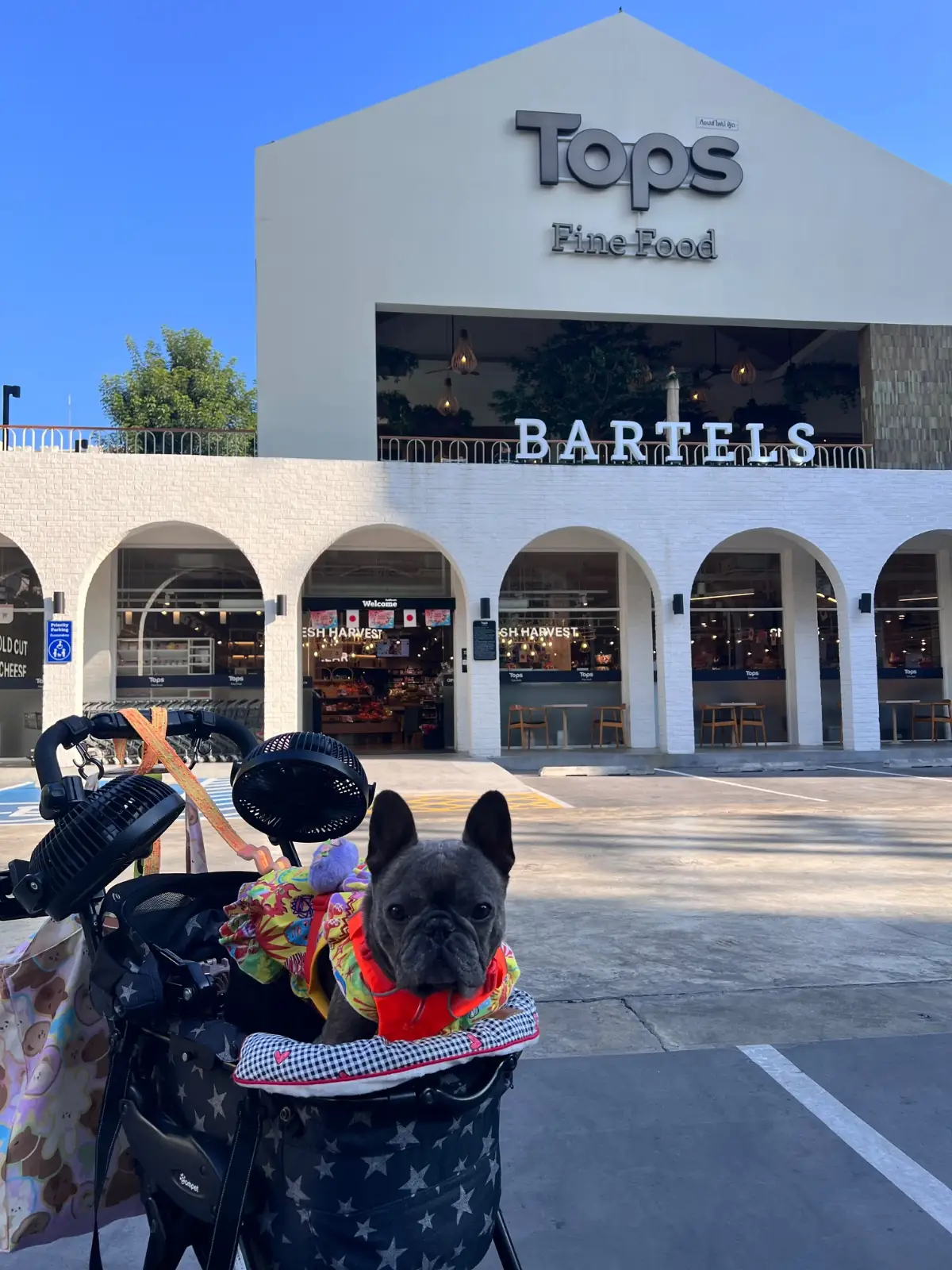 BARTELS - Sukhumvit 49 other image 7