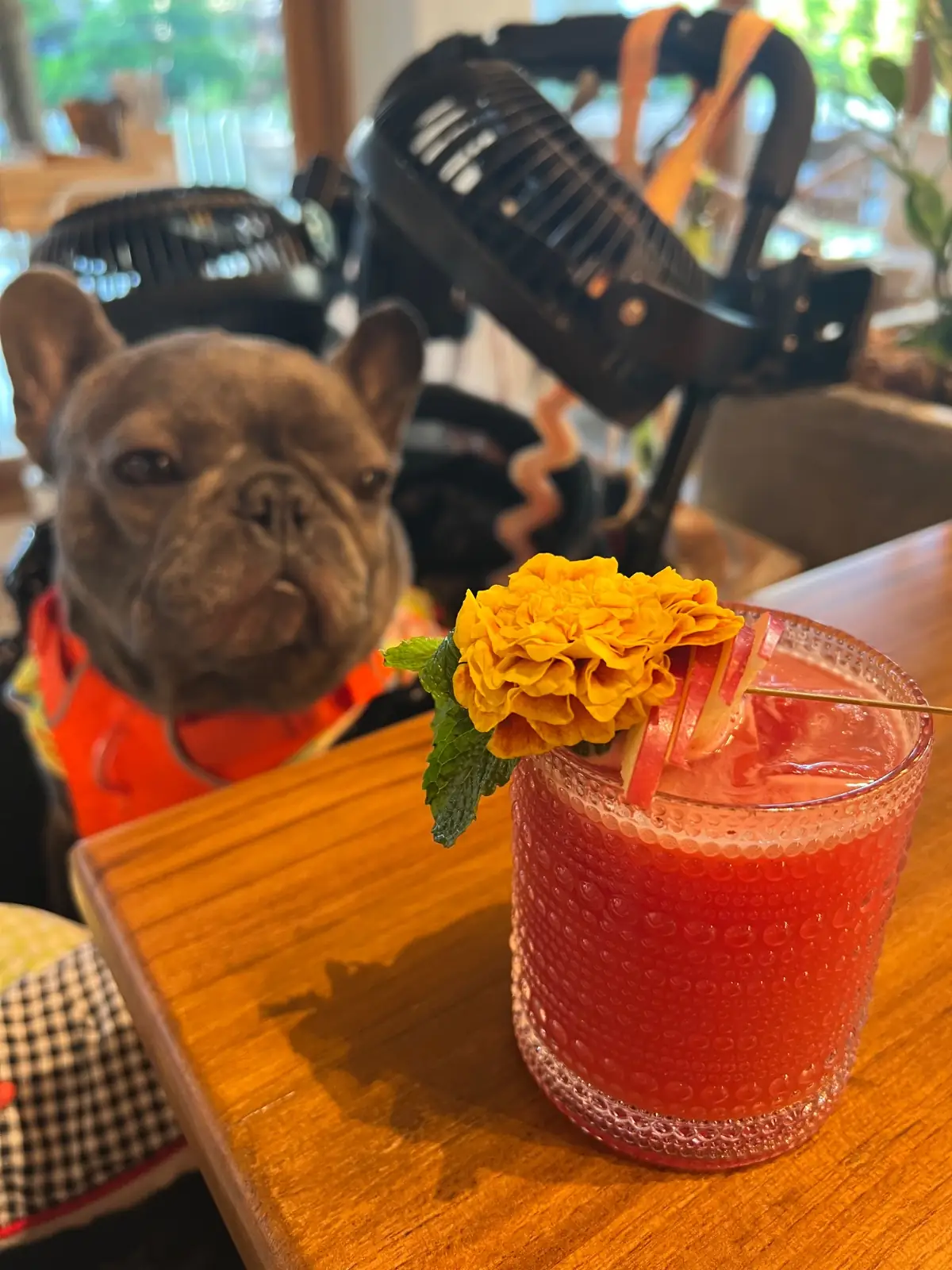 BARTELS - Sukhumvit 49 other image 3