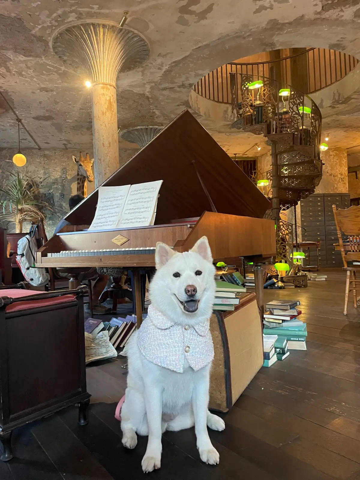 The Mustang Blue pets image 1