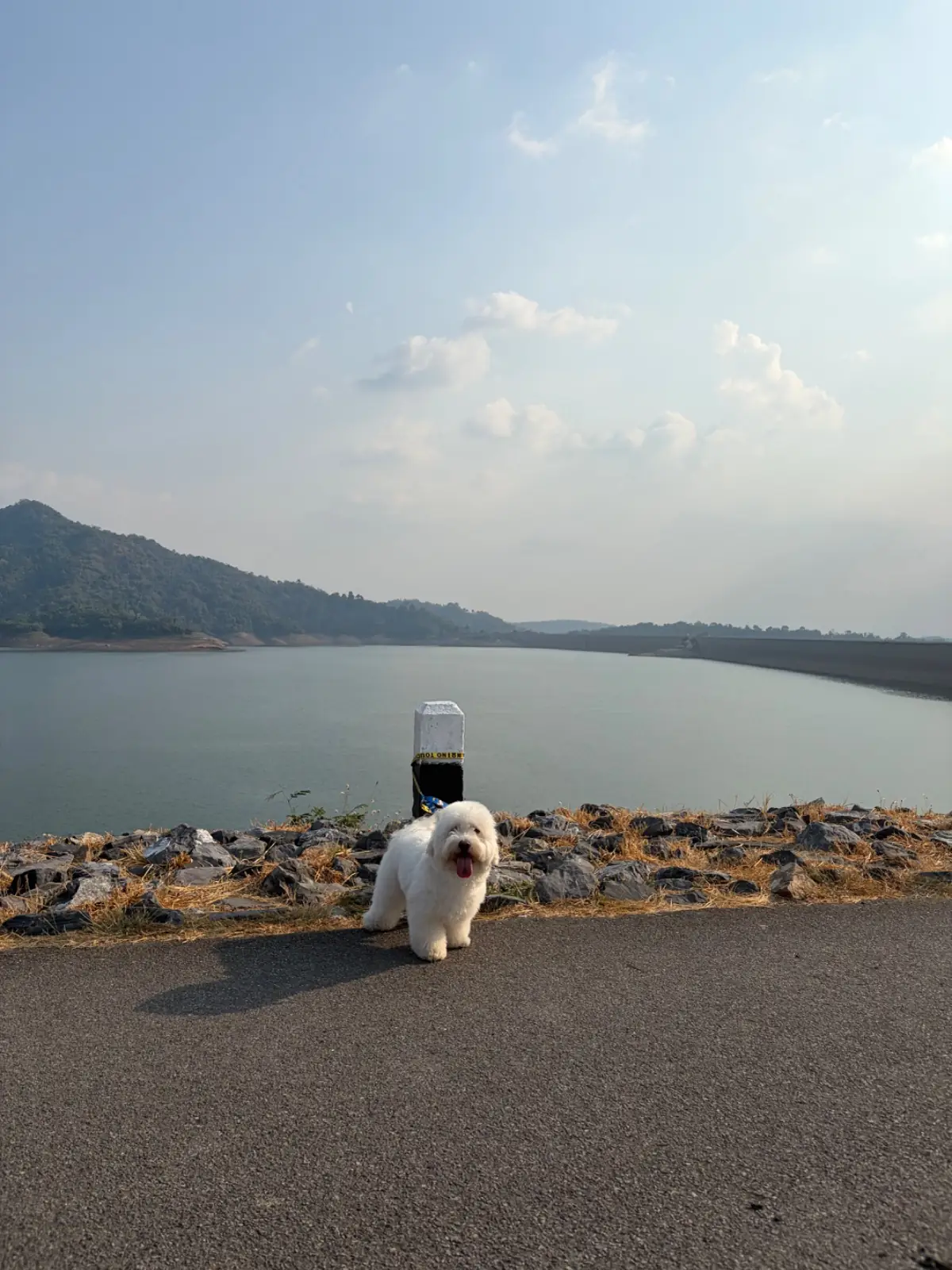 เขื่อนขุนด่านปราการชล pets image 9