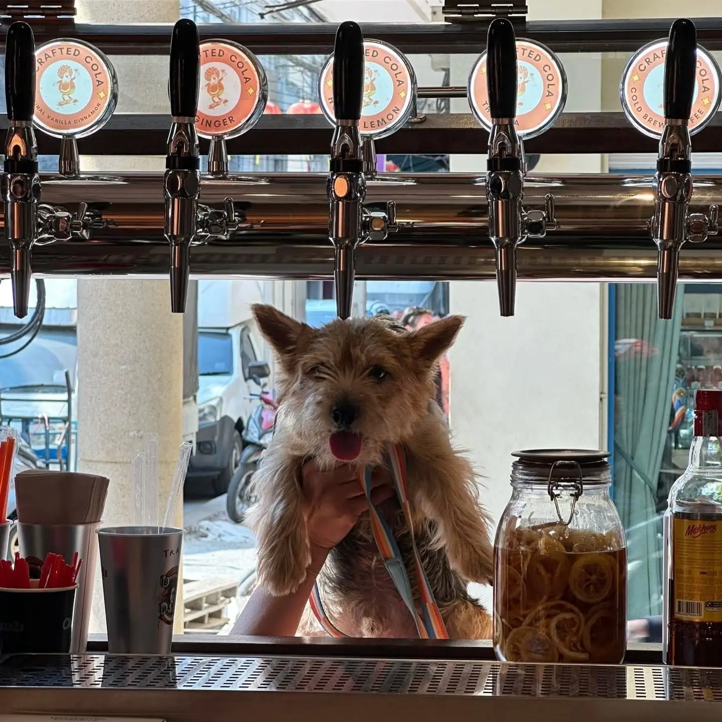 Oh! Vacola Crafted Cola & Hotdog pets image 1