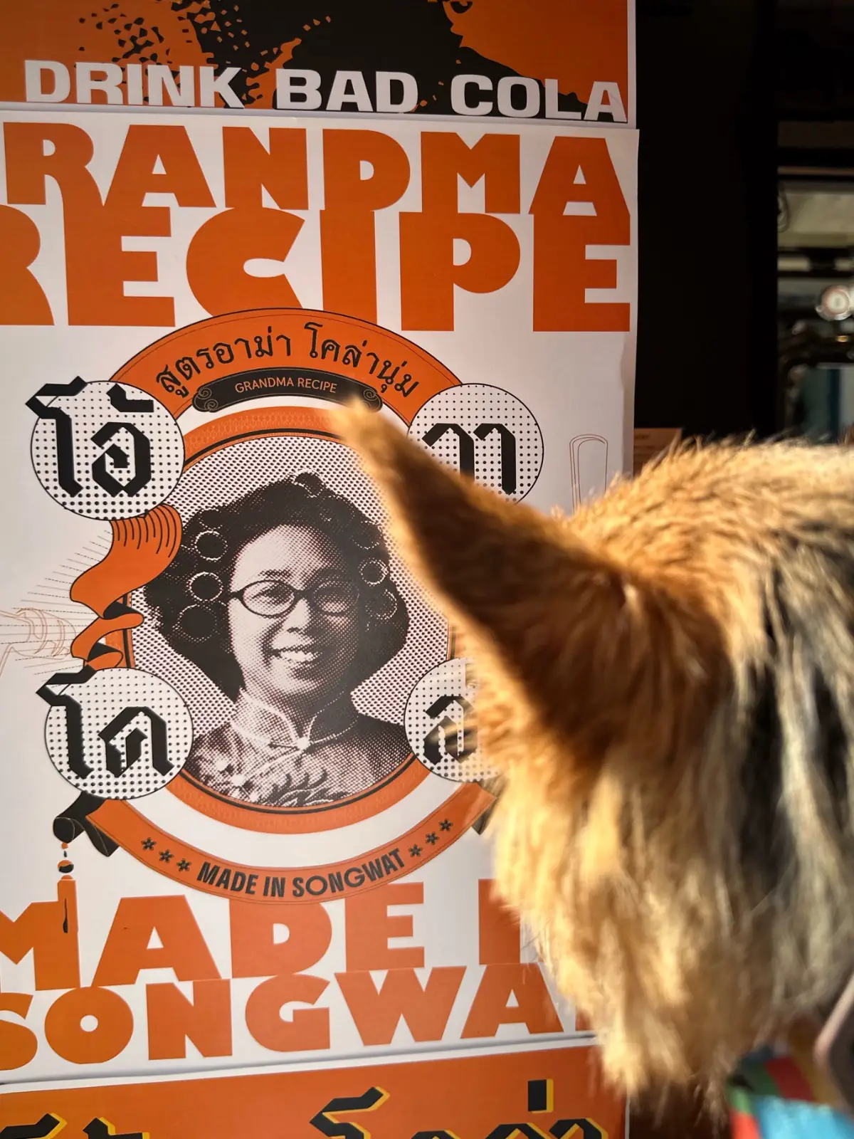 Oh! Vacola Crafted Cola & Hotdog pets image 2