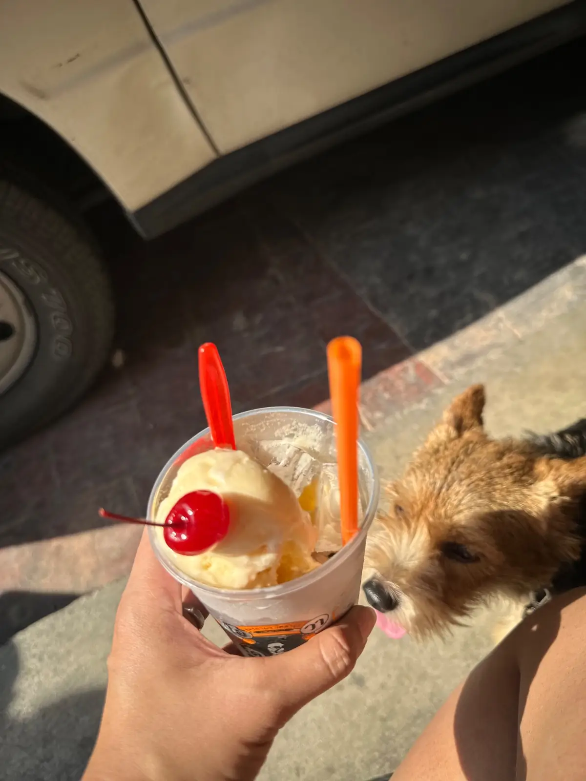 Oh! Vacola Crafted Cola & Hotdog hero image 2