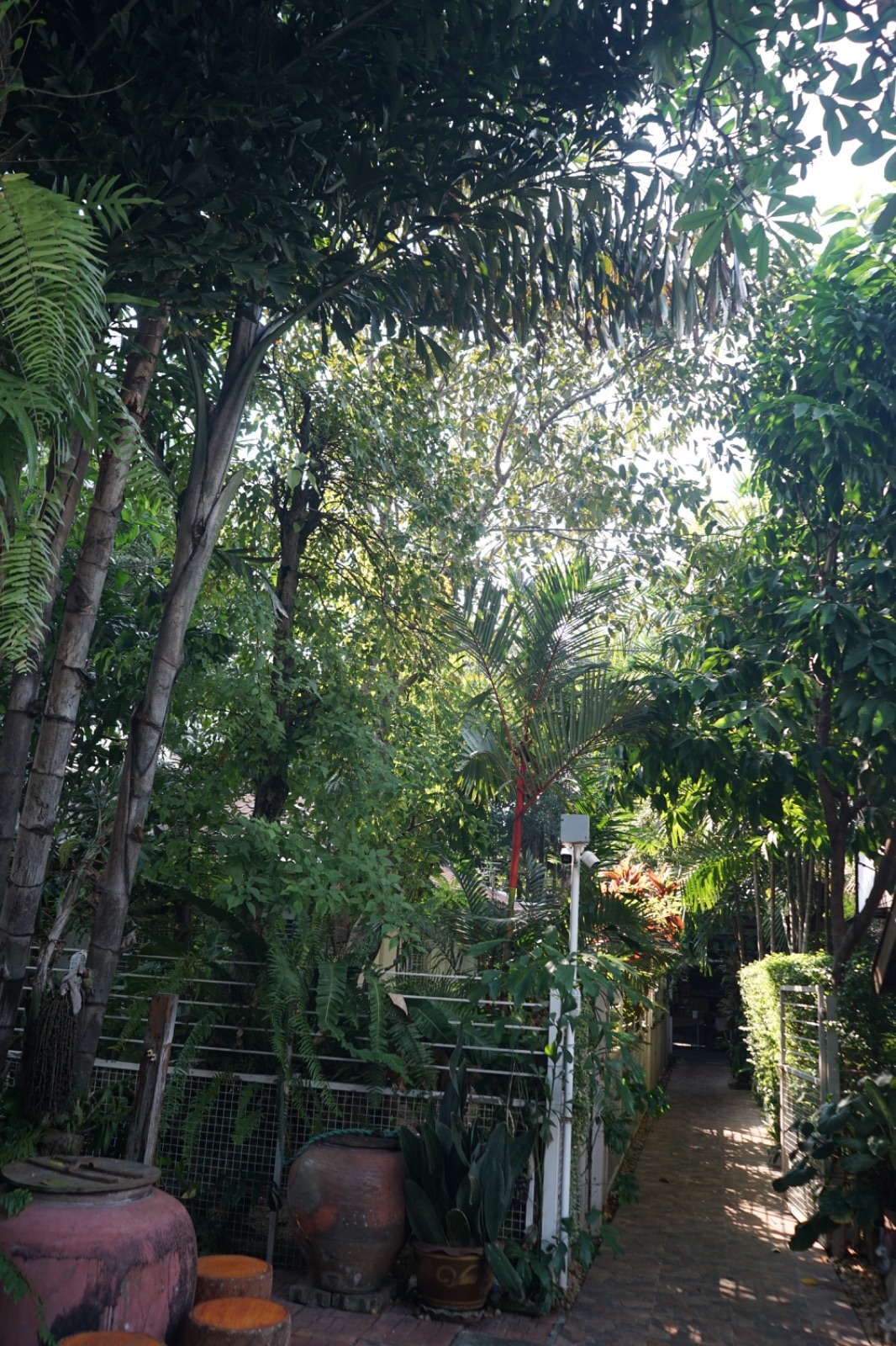 จันทร์แหล่ม ambiance image 9