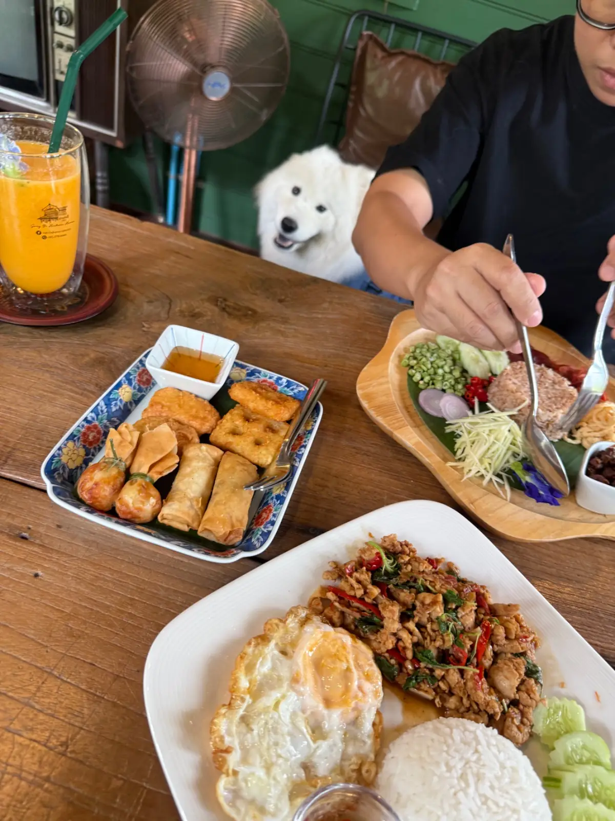 ก๋งยี่ บ้านโบราณ - นครนายก pets image 1