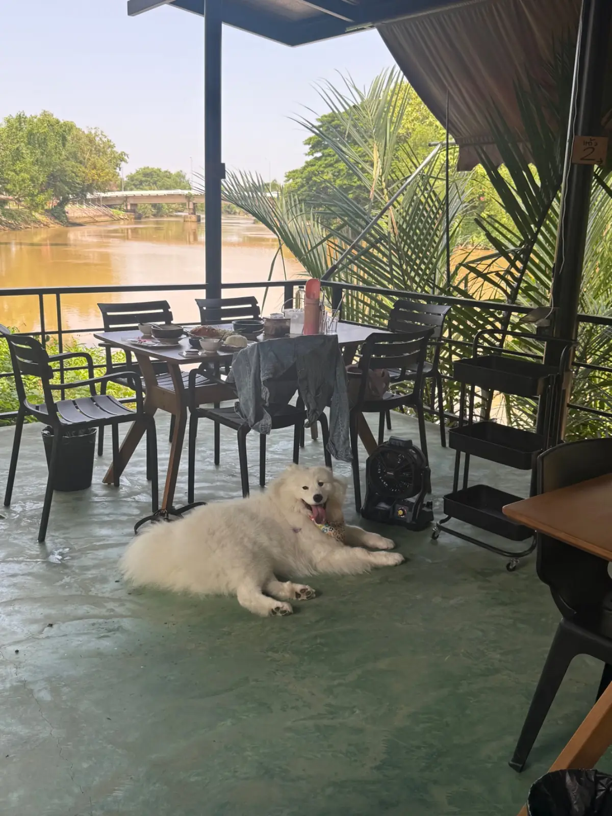 คดข้าว overall image 2