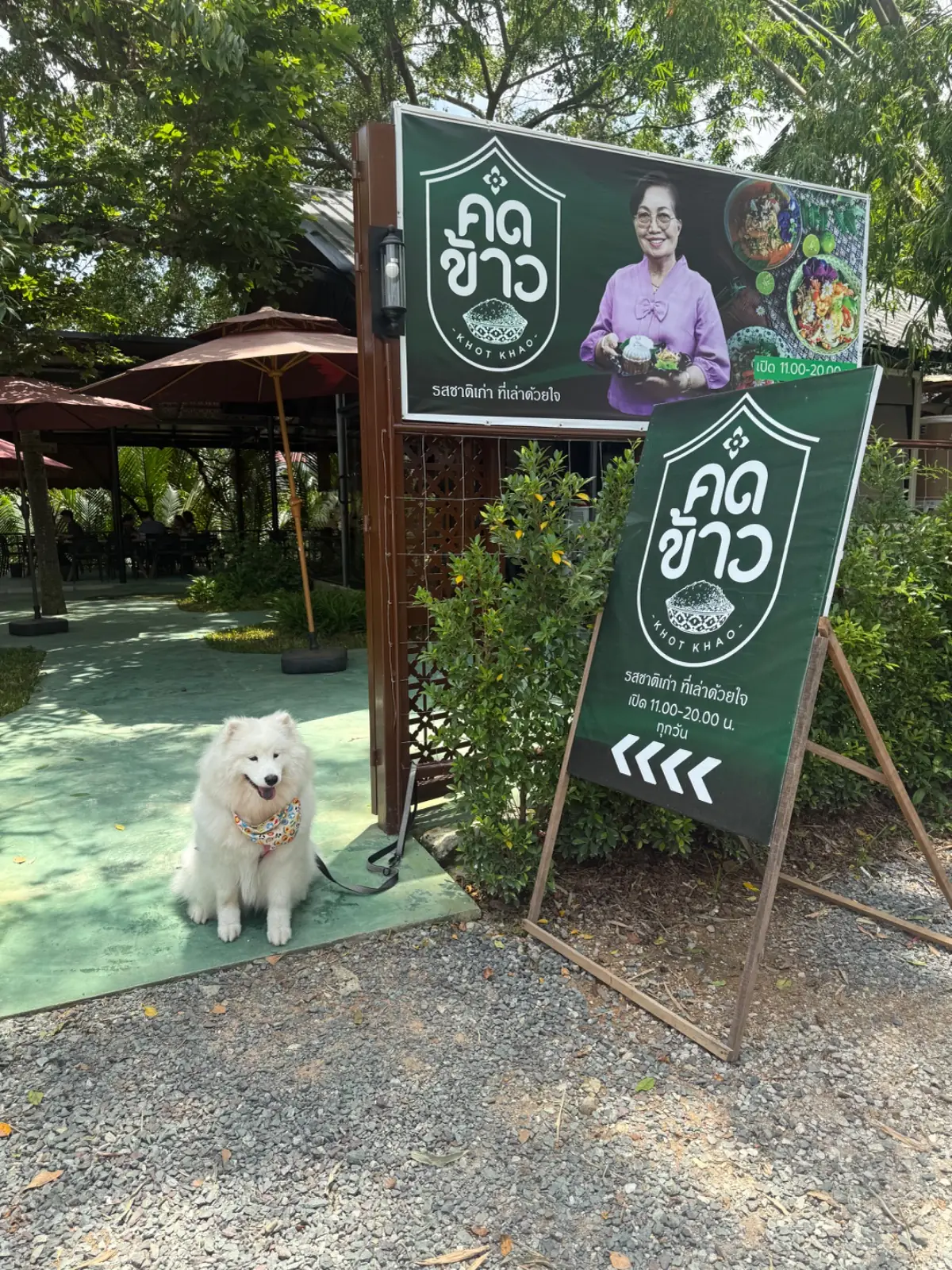 คดข้าว overall image 1