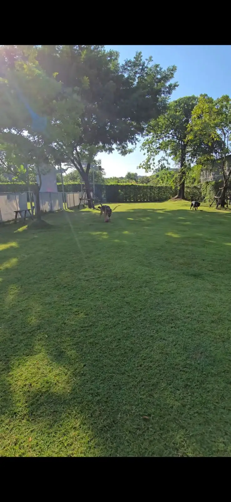 hugmhaland ambiance image 1