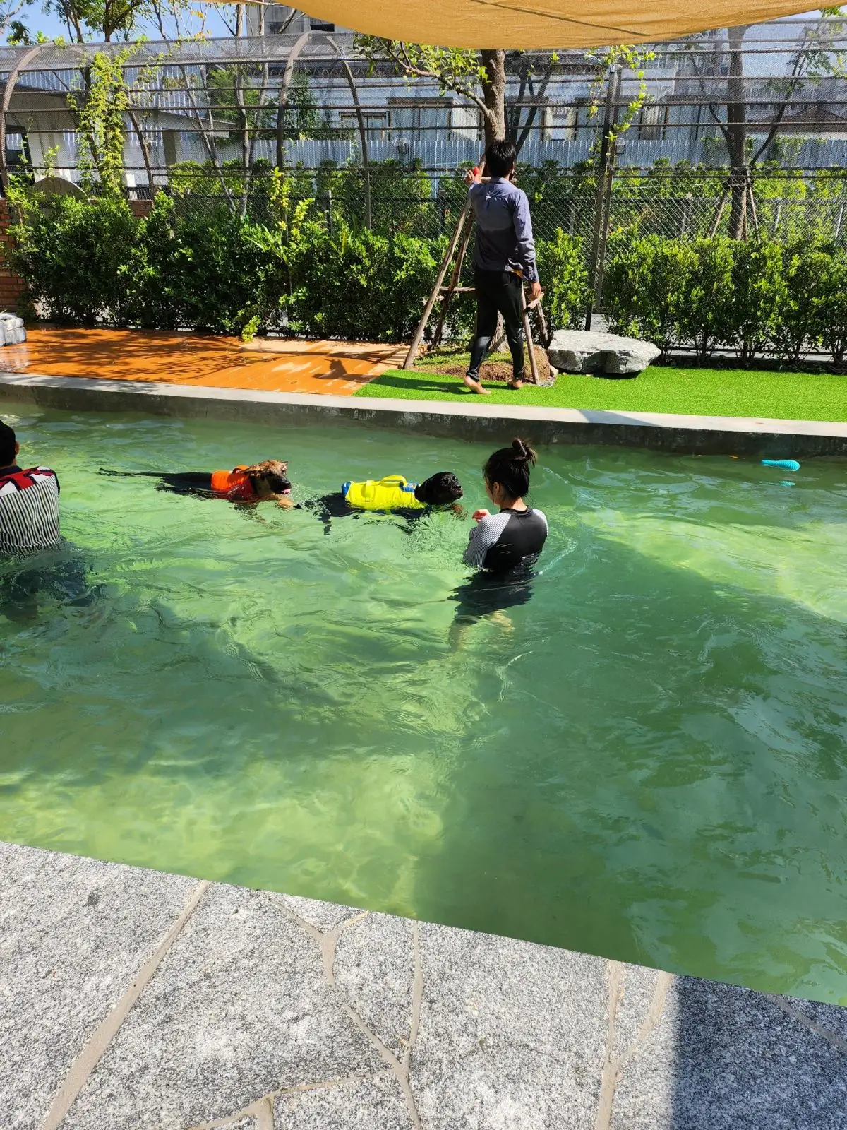 hugmhaland ambiance image 2