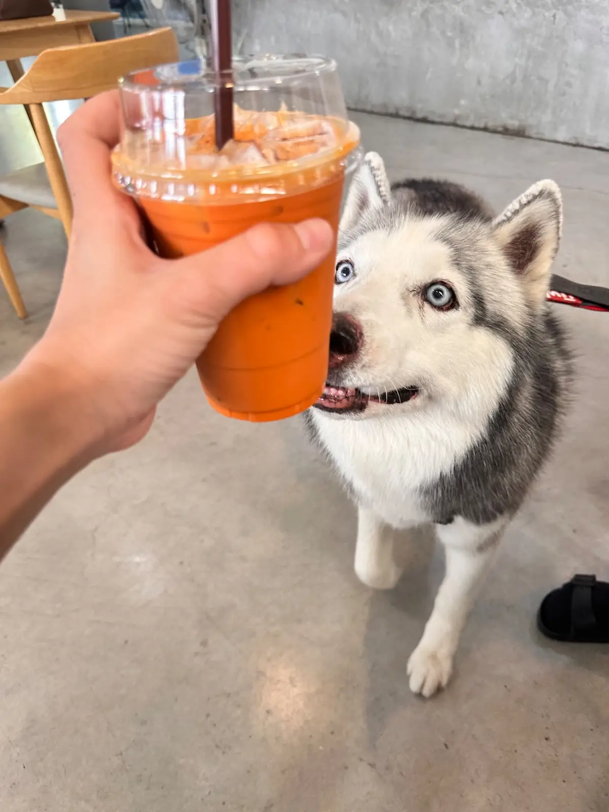 hugmhaland food image 1