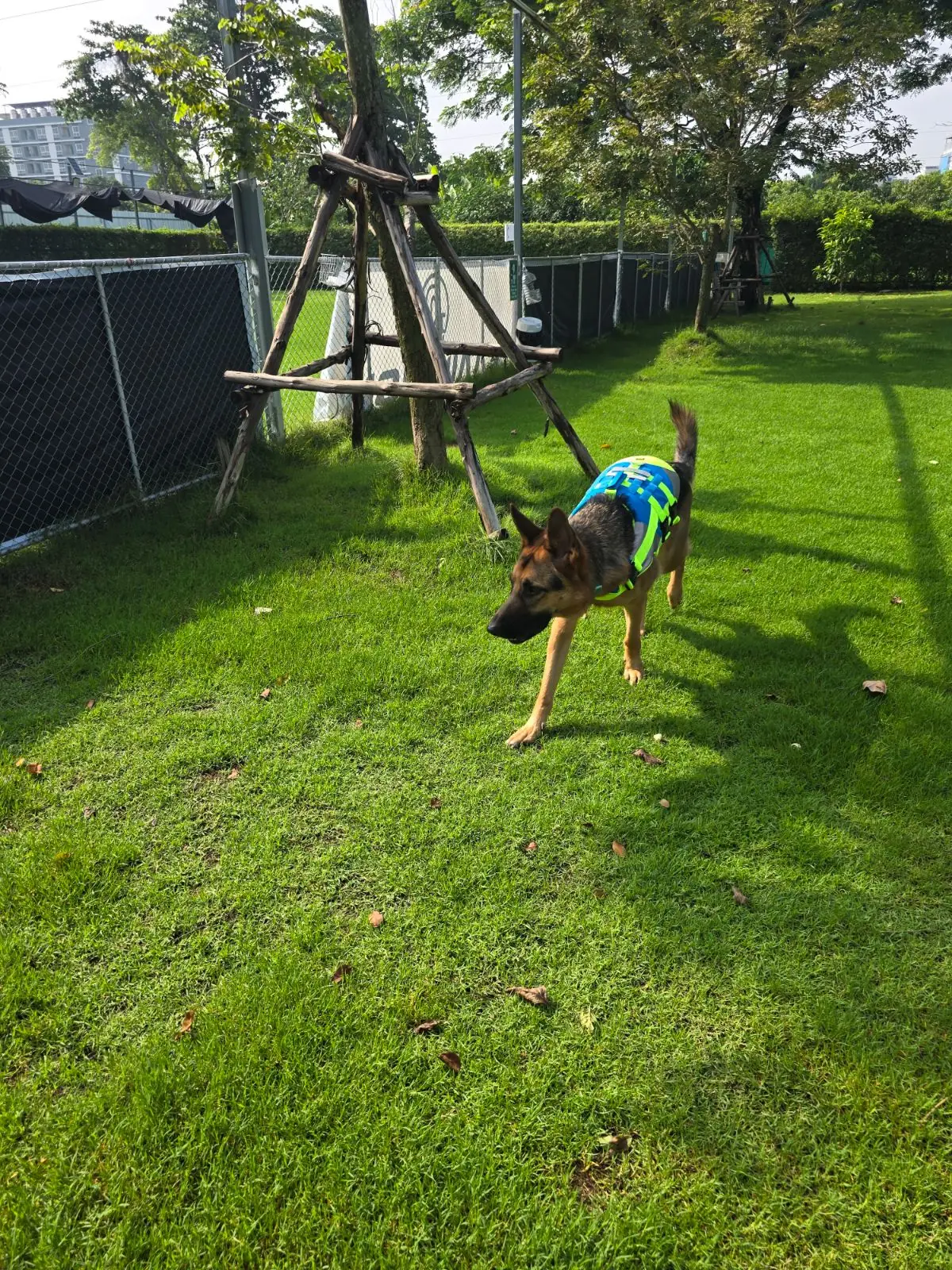 hugmhaland pets image 5