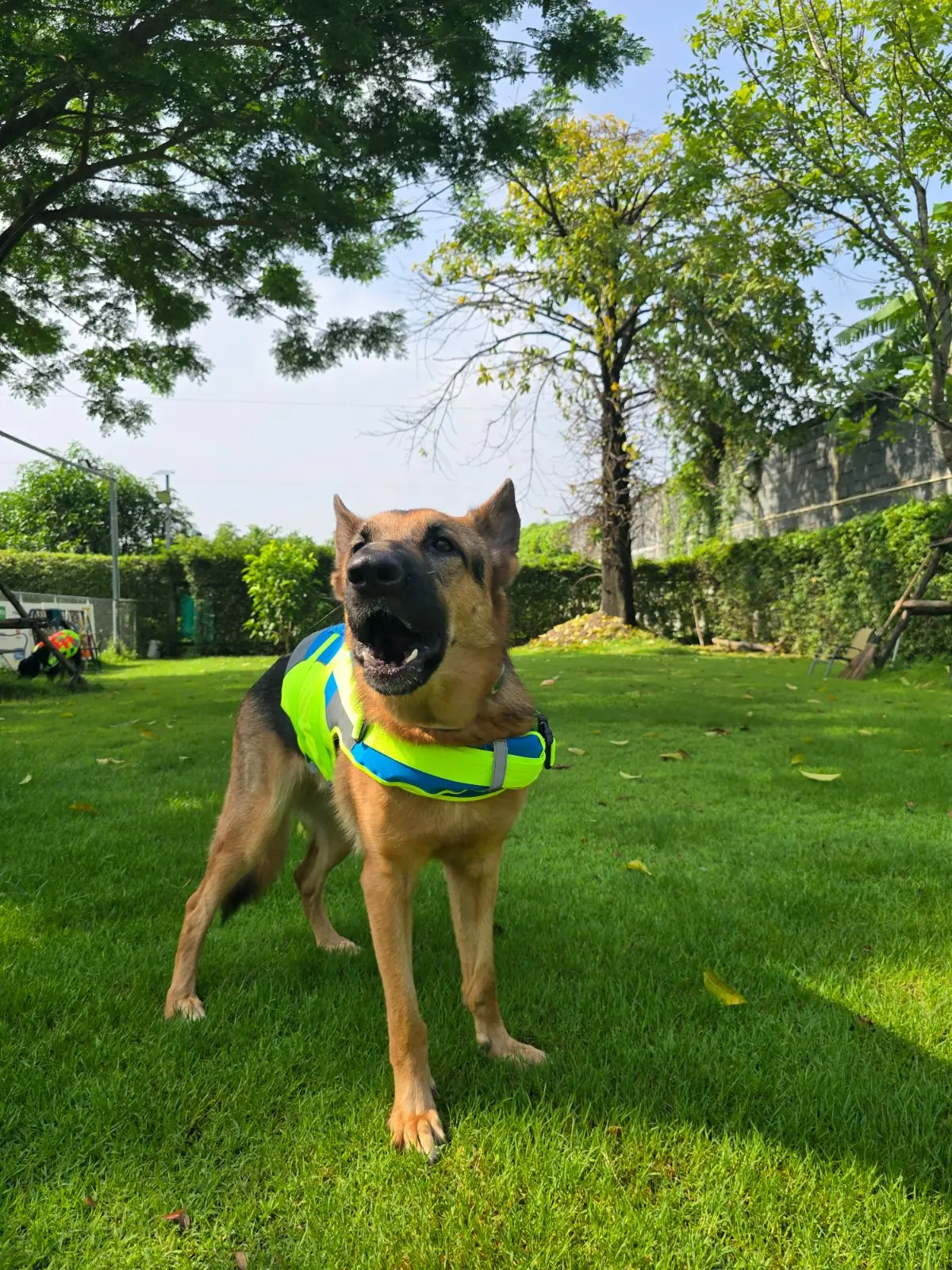 hugmhaland pets image 6