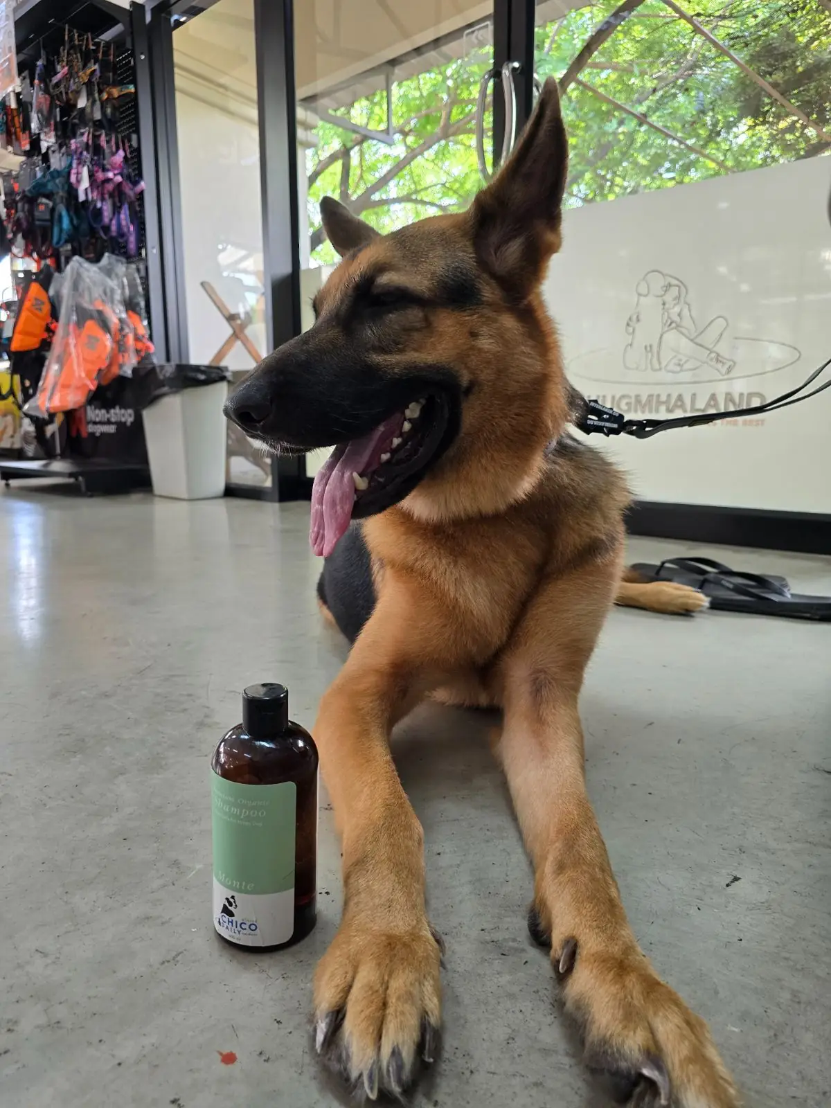 hugmhaland pets image 7