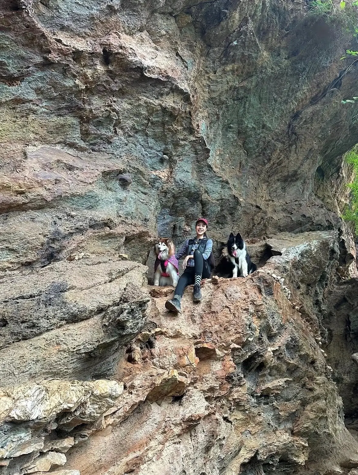 วัดสุวรรณคีรี (เขาดงยาง) pets image 1