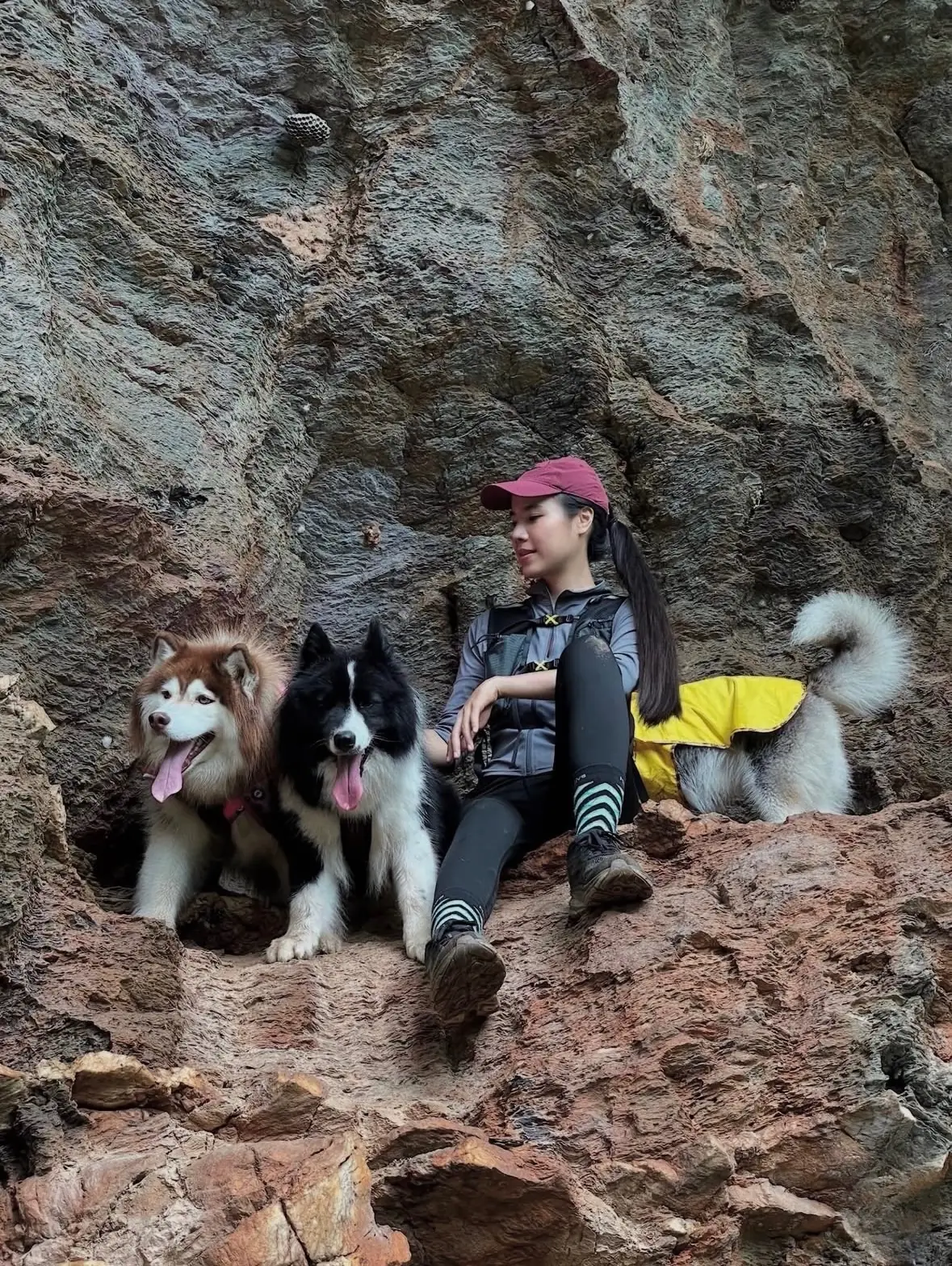 วัดสุวรรณคีรี (เขาดงยาง) pets image 3