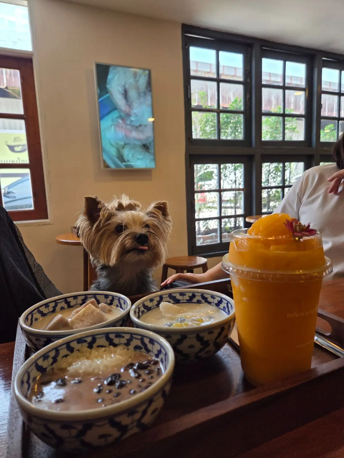 ขนมหม้อแกงแม่ยาย pets image 1