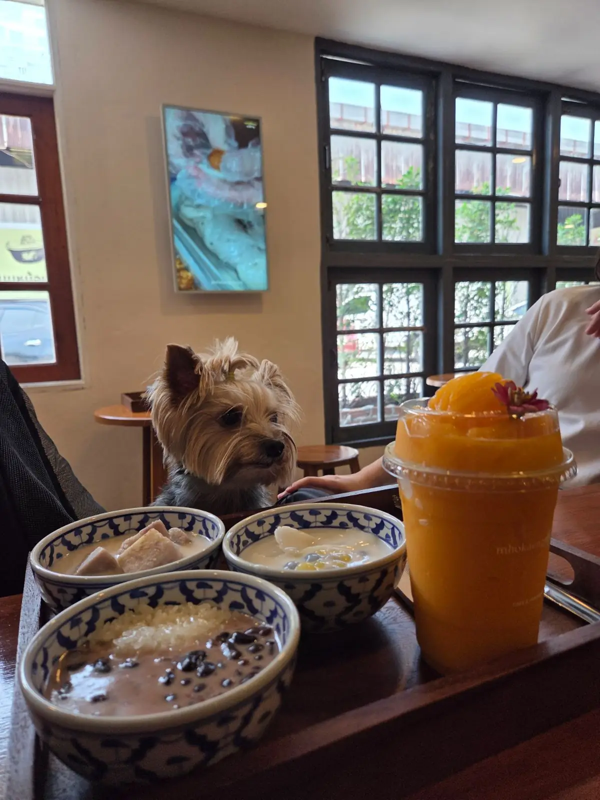 ขนมหม้อแกงแม่ยาย pets image 2