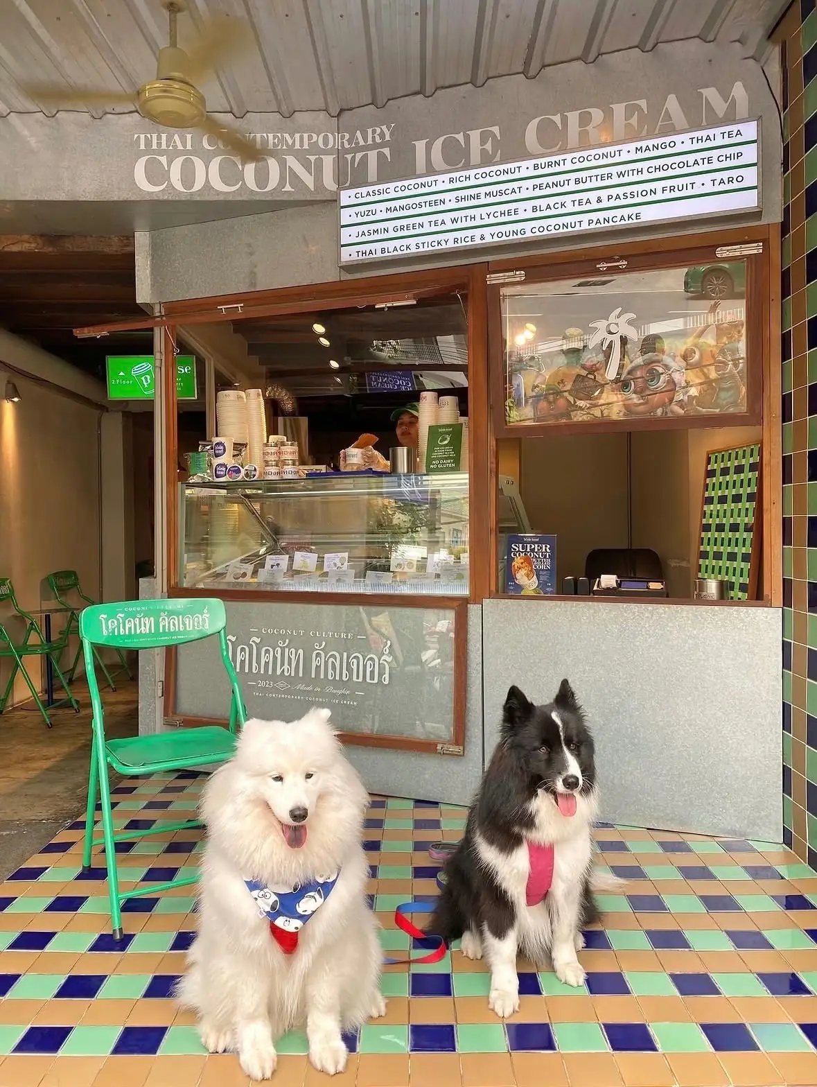 Coconut Culture Bangkok pets image 1