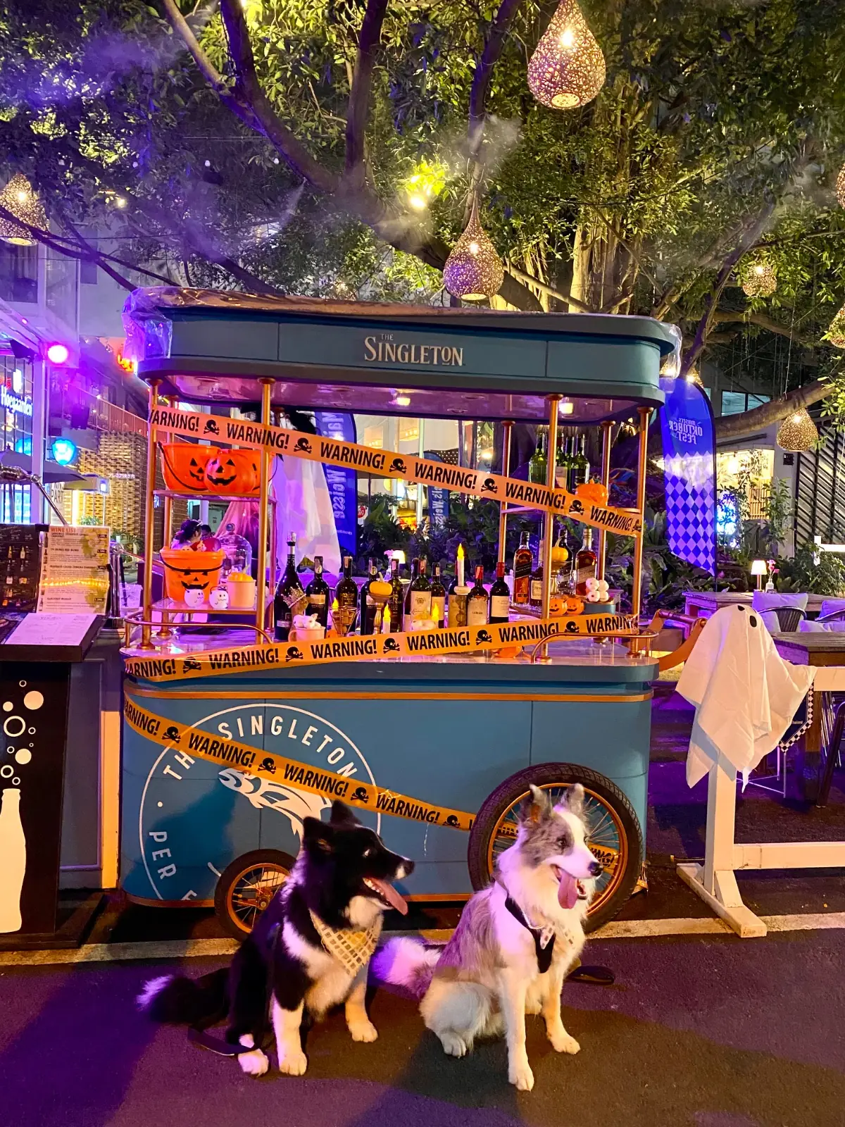 The Camellia pets image 1